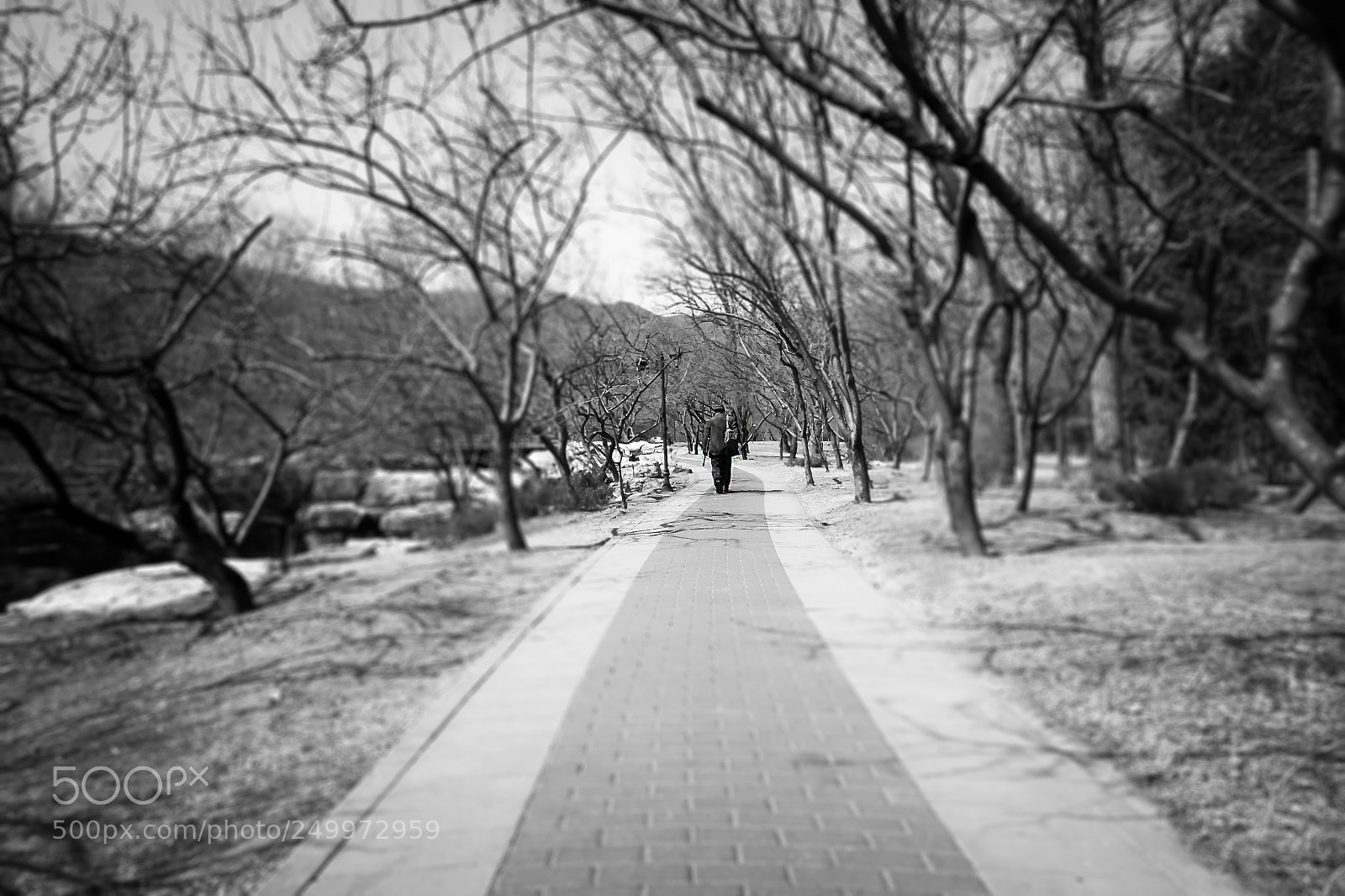 Canon EOS 7D sample photo. 路径 photography