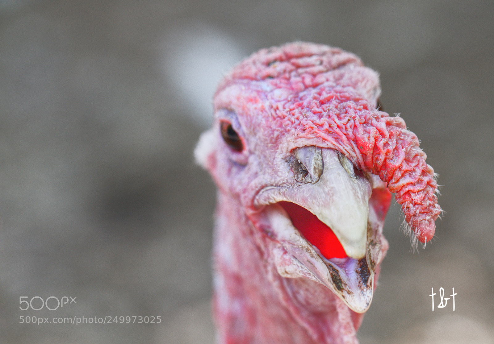 Canon EOS 7D sample photo. Untitled photography
