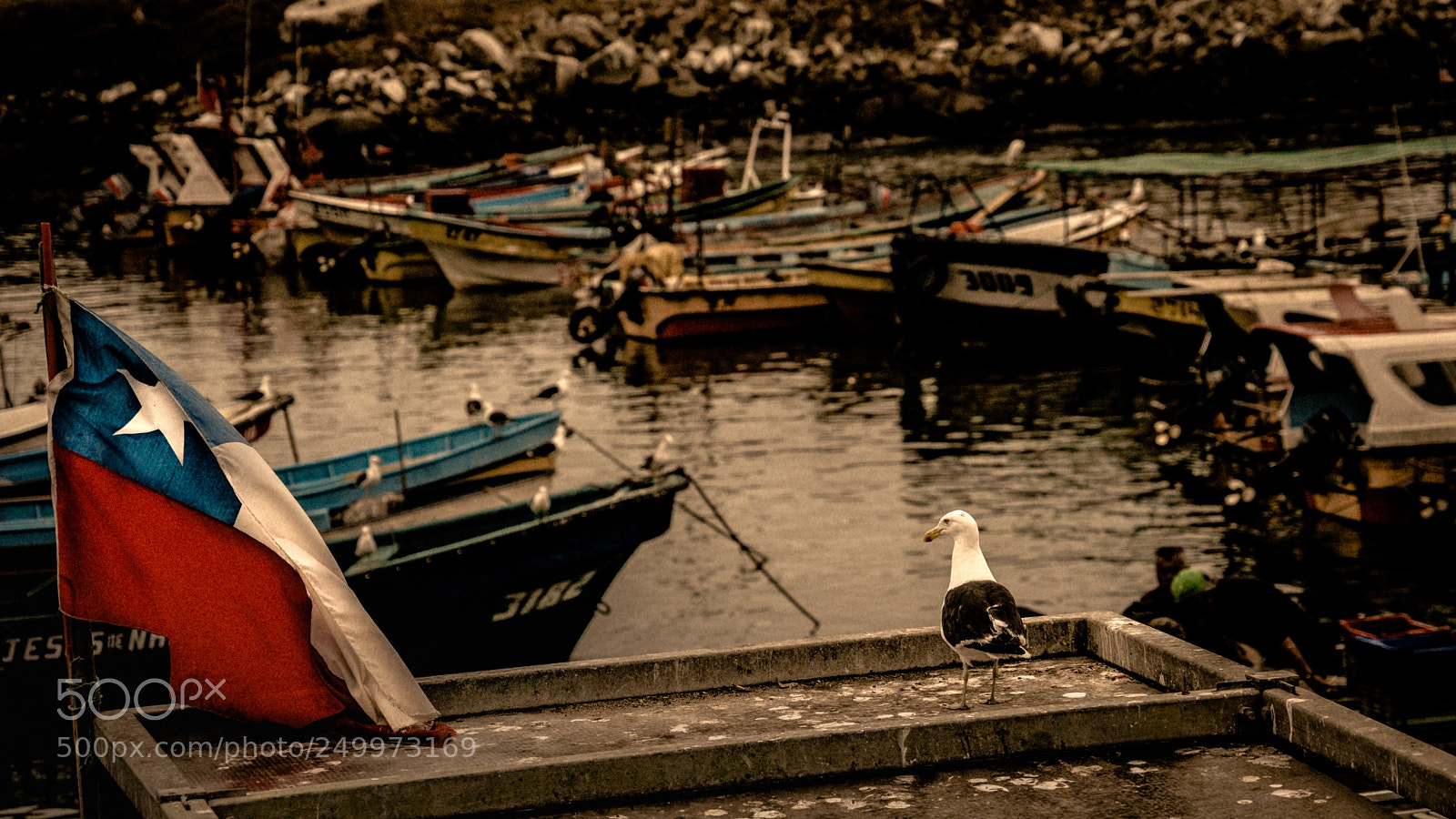 Sony a7R II sample photo. Solo mirando photography