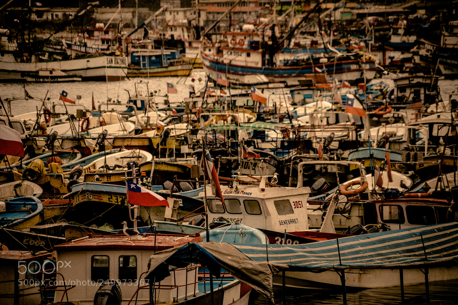 Sony a7R II sample photo. Caos photography