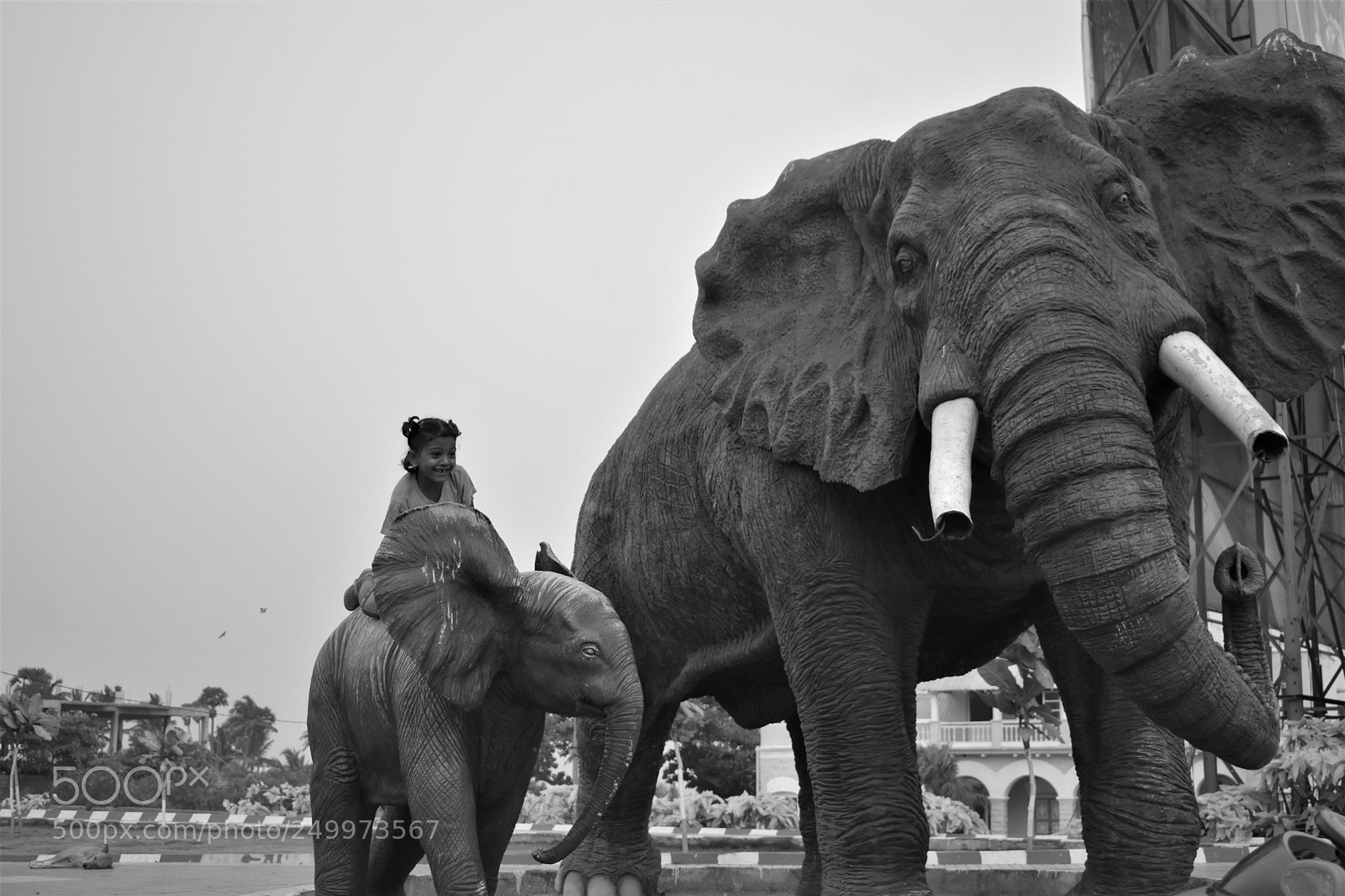 Nikon D3400 sample photo. Untitled photography