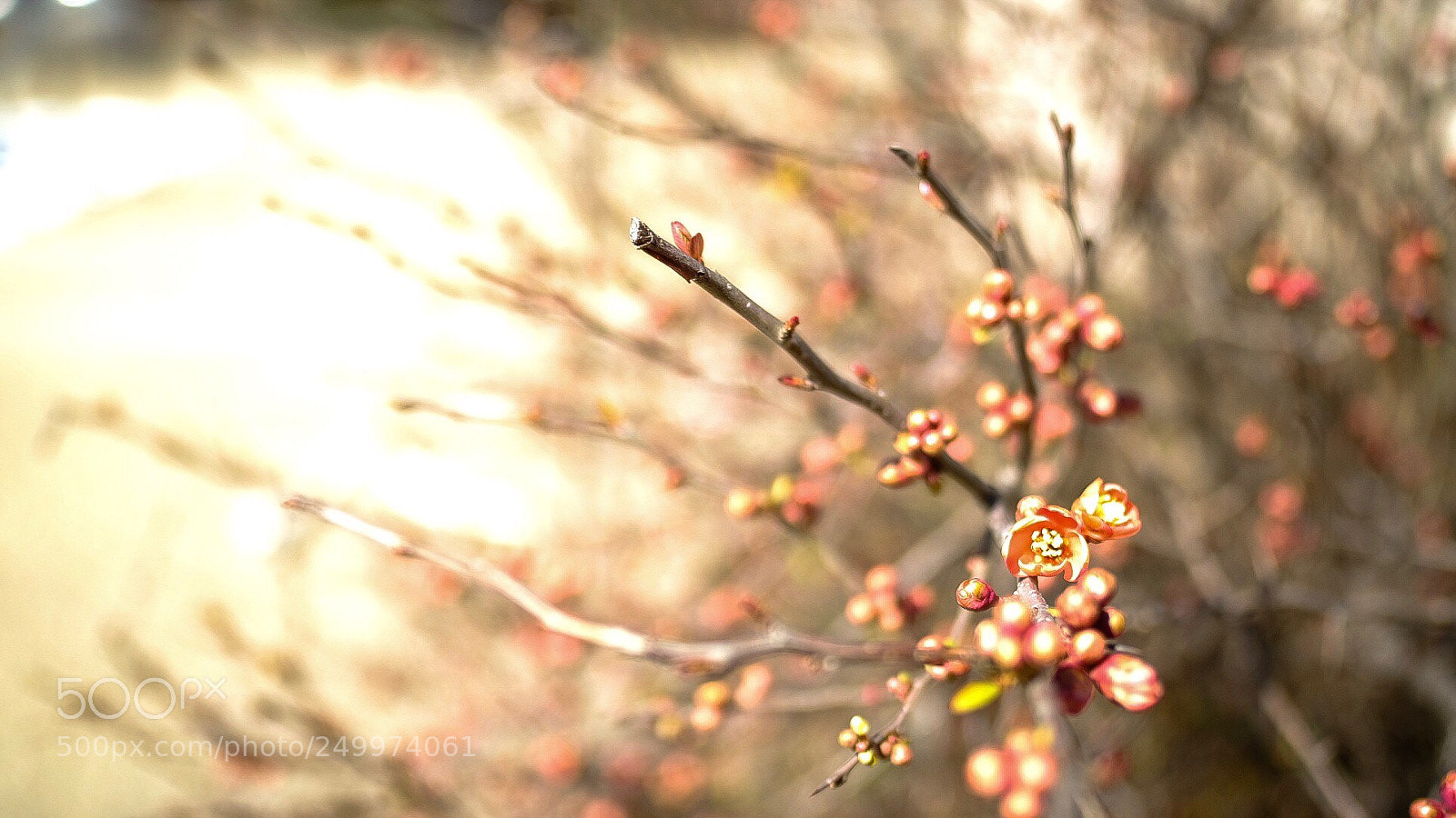 Fujifilm X-T2 sample photo. Untitled photography