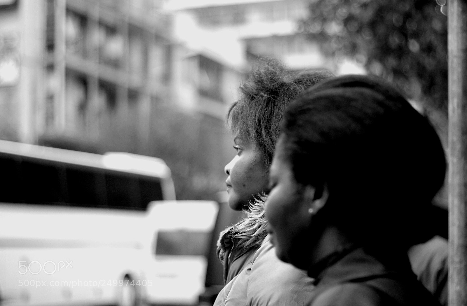 Canon EOS 550D (EOS Rebel T2i / EOS Kiss X4) sample photo. Black & white photography