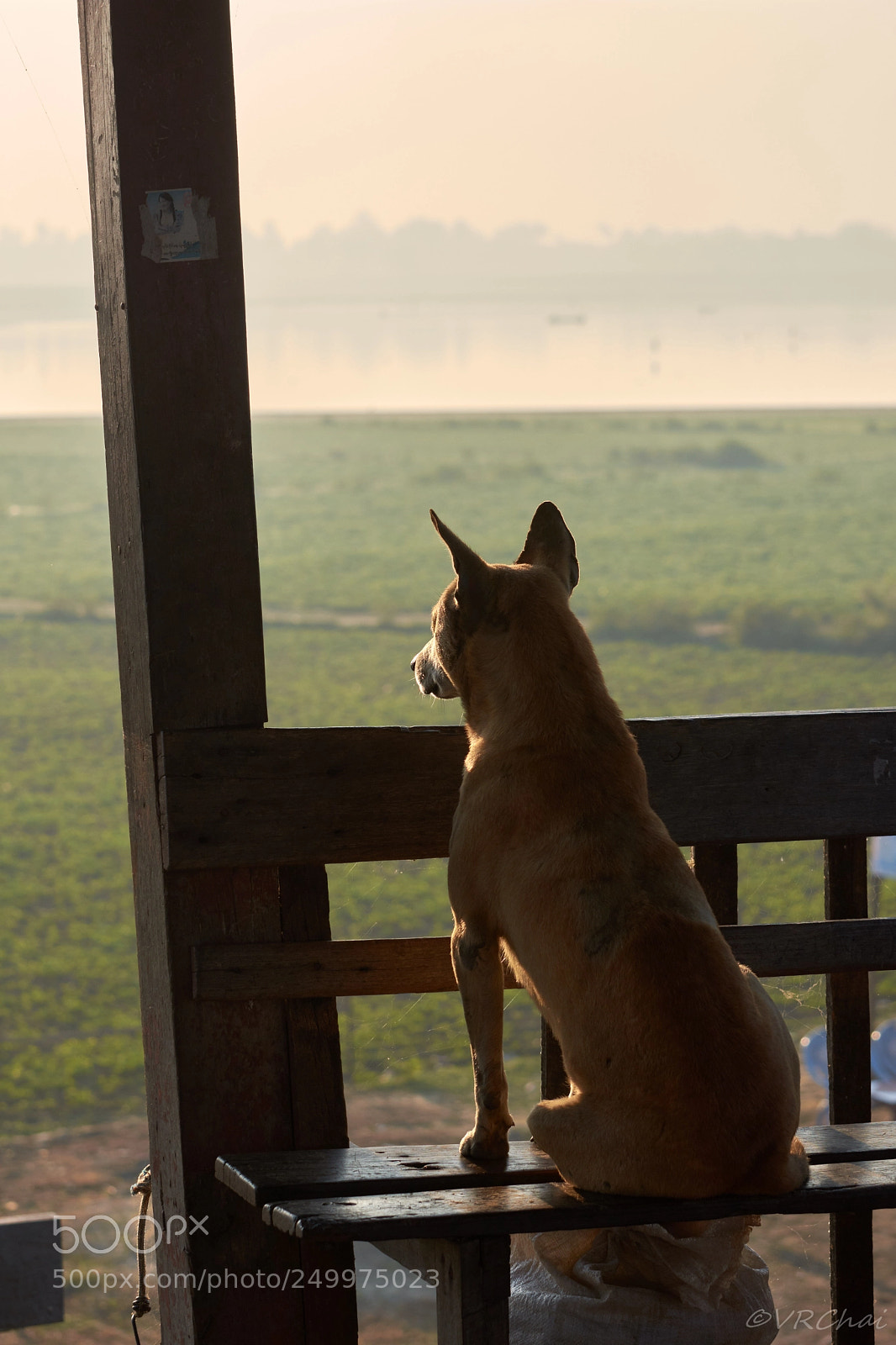 Nikon D7200 sample photo. Enjoying good view photography