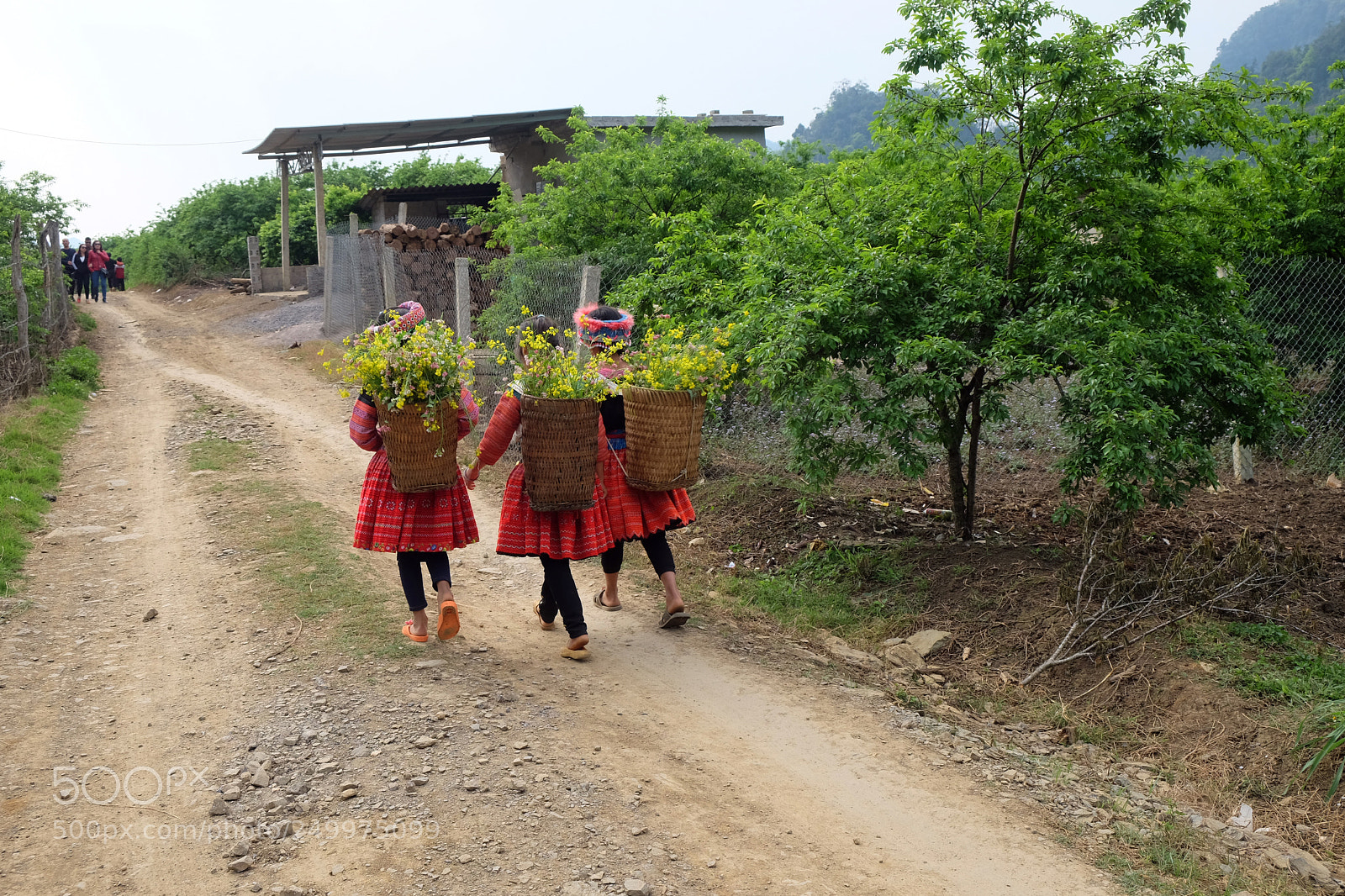 Fujifilm X-T10 sample photo. Children of h'mong ethnic photography