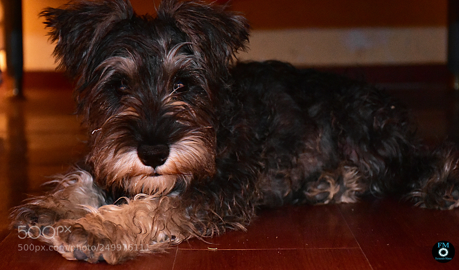 Nikon D7200 sample photo. Max photography