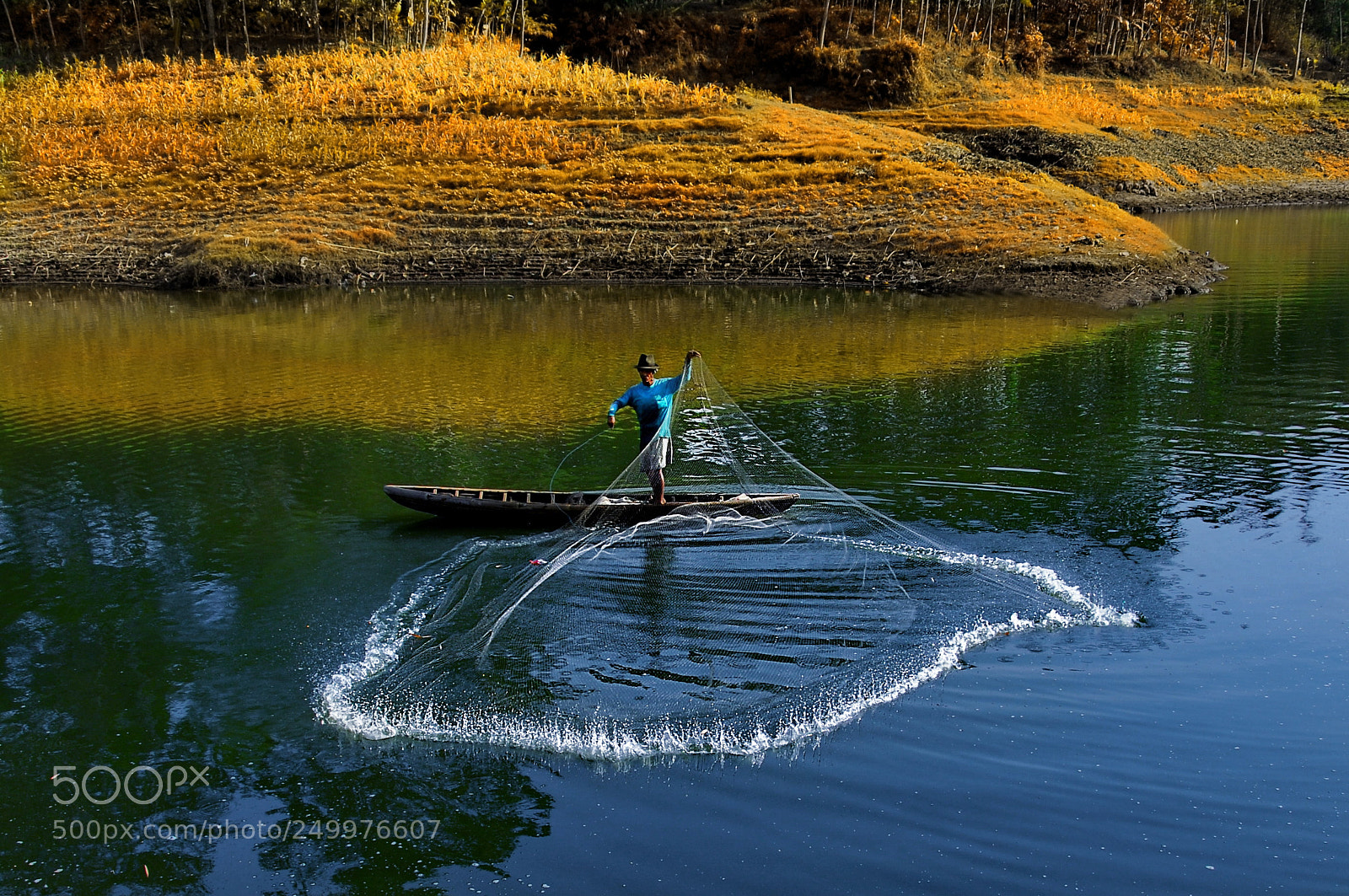Nikon D200 sample photo. I hope many fishes photography