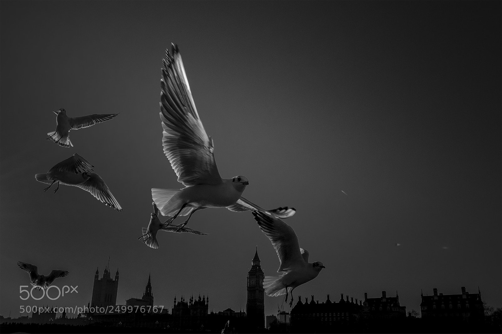 Canon EOS 7D Mark II sample photo. Bw photography