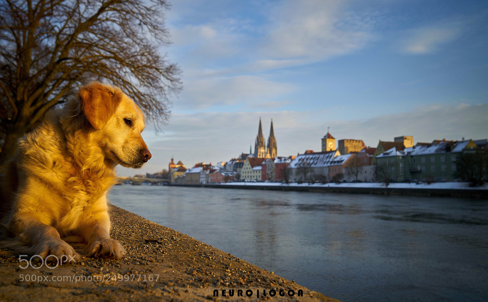 Sony a7R II sample photo. Sphinx photography