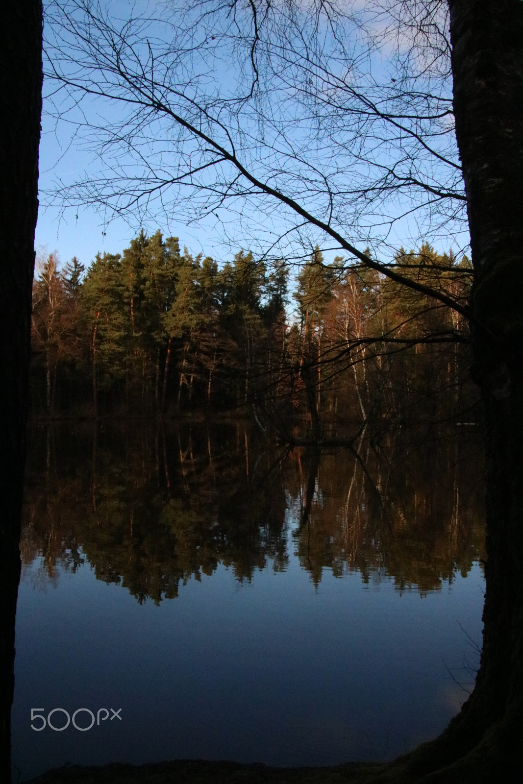 Canon EOS 760D (EOS Rebel T6s / EOS 8000D) sample photo. Reflection photography