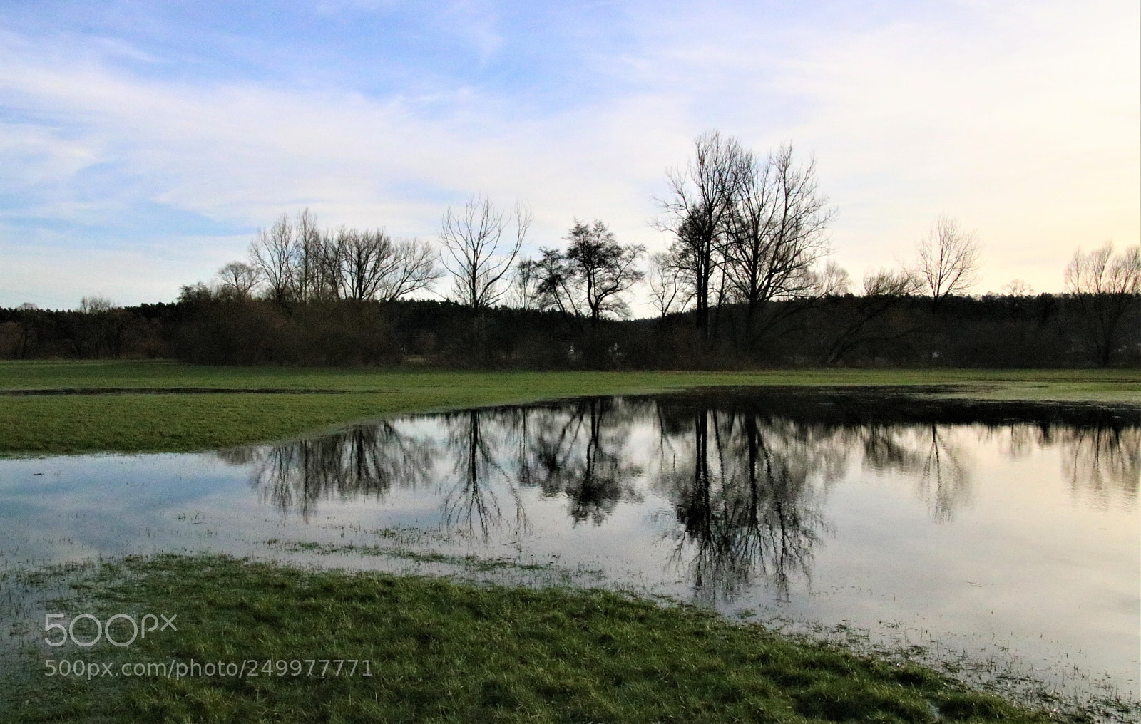Canon EOS 760D (EOS Rebel T6s / EOS 8000D) sample photo. Group of four photography