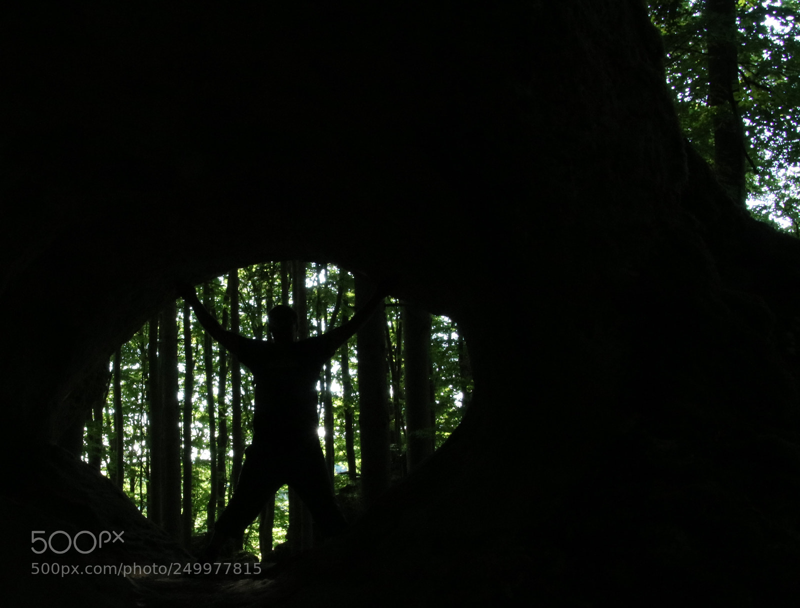 Canon EOS 760D (EOS Rebel T6s / EOS 8000D) sample photo. Green leonardo study photography