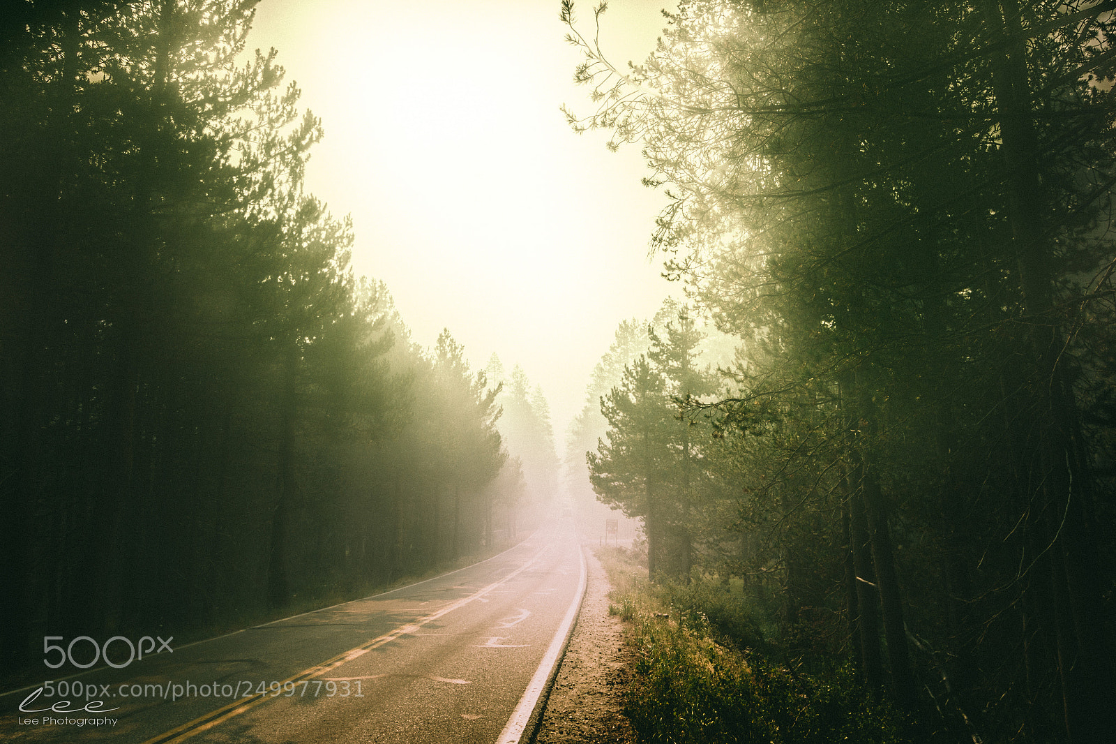 Canon EOS 700D (EOS Rebel T5i / EOS Kiss X7i) sample photo. Mist road in the photography