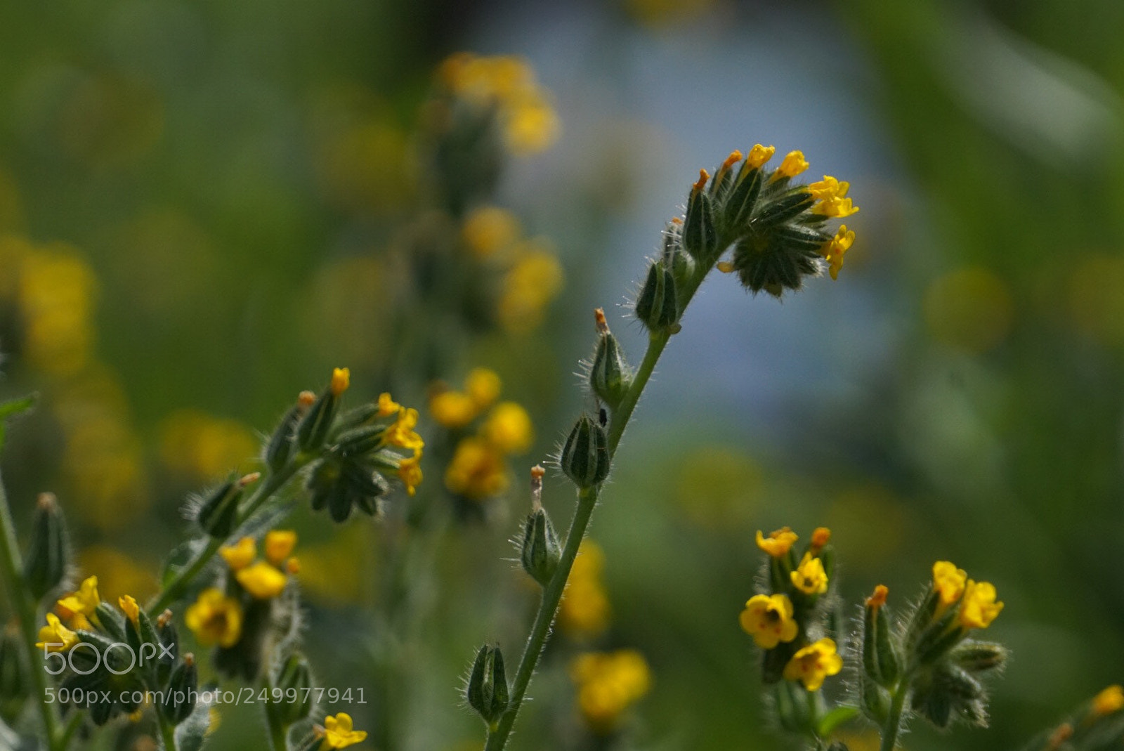 Sony a6000 sample photo. Untitled photography