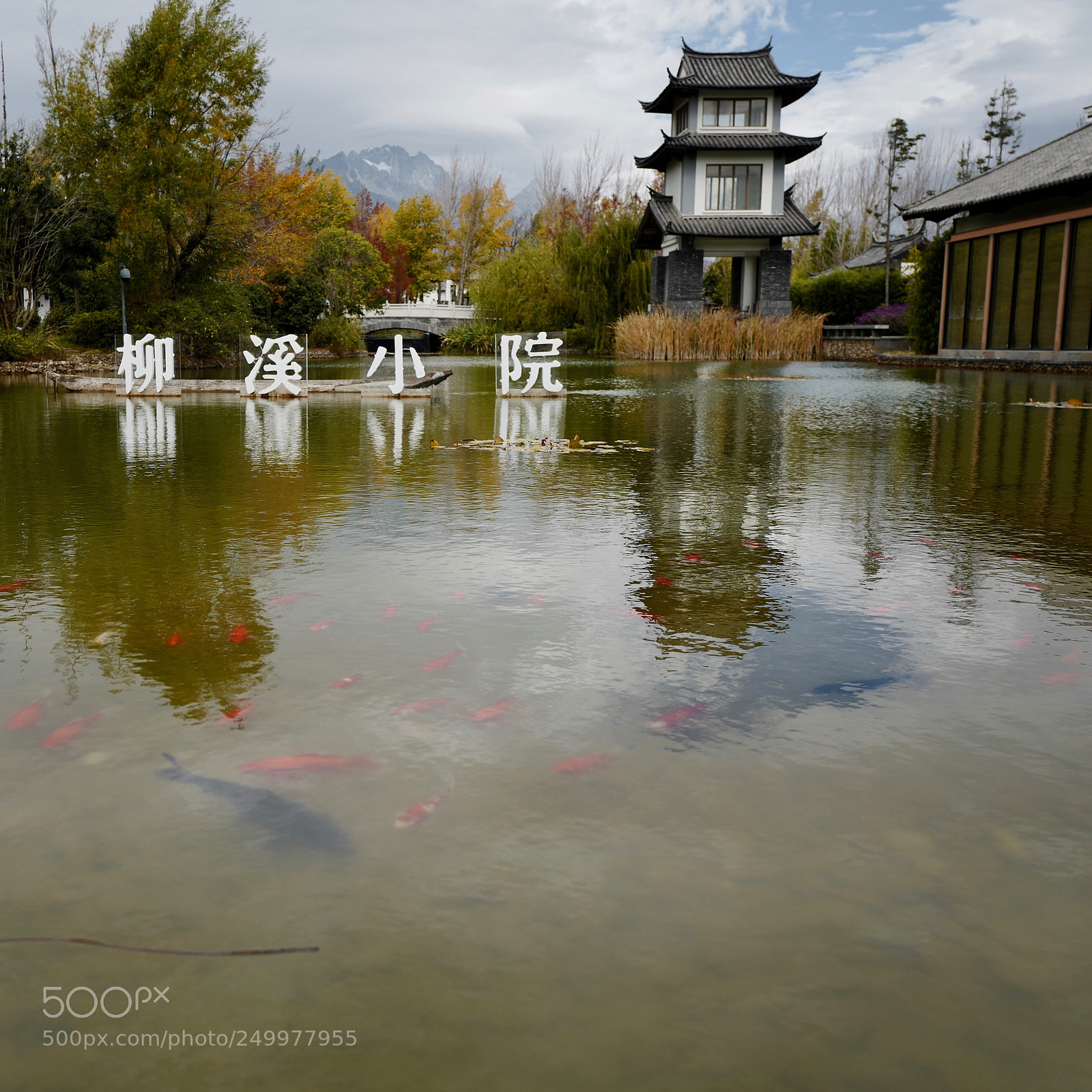Leica Q (Typ 116) sample photo. Dali,yunnan photography