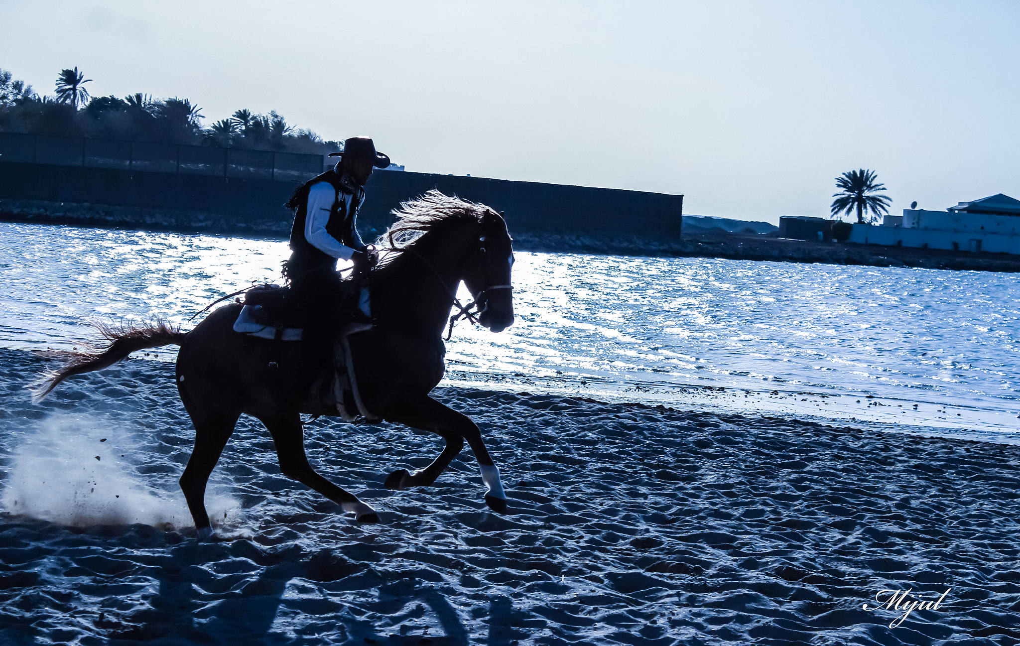Canon EOS 650D (EOS Rebel T4i / EOS Kiss X6i) sample photo. Horse ride photography