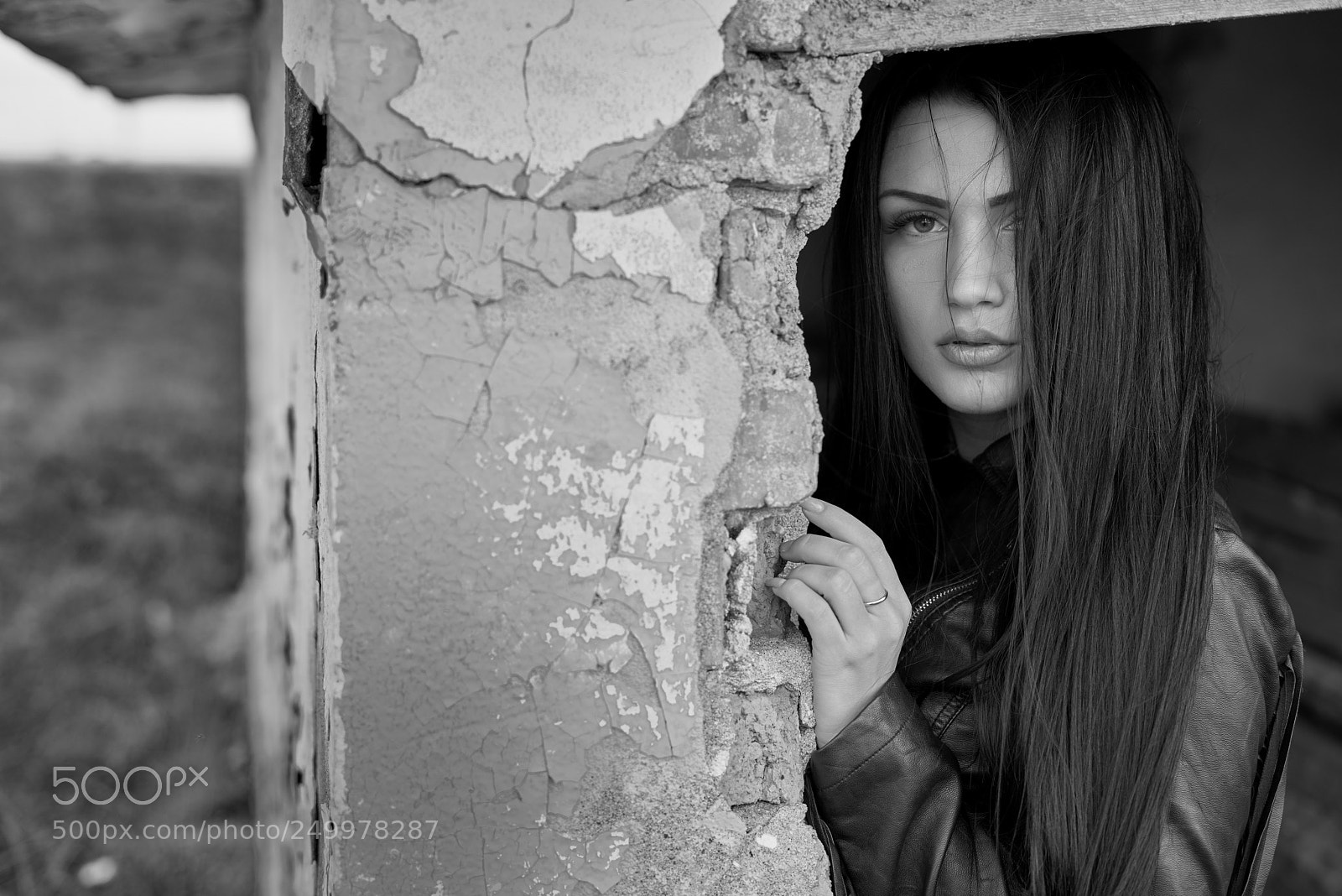 Sony a7R sample photo. Copy photography