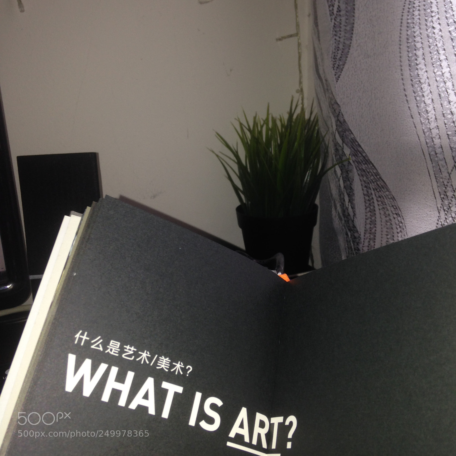 Apple iPhone 5 sample photo. What is art? photography