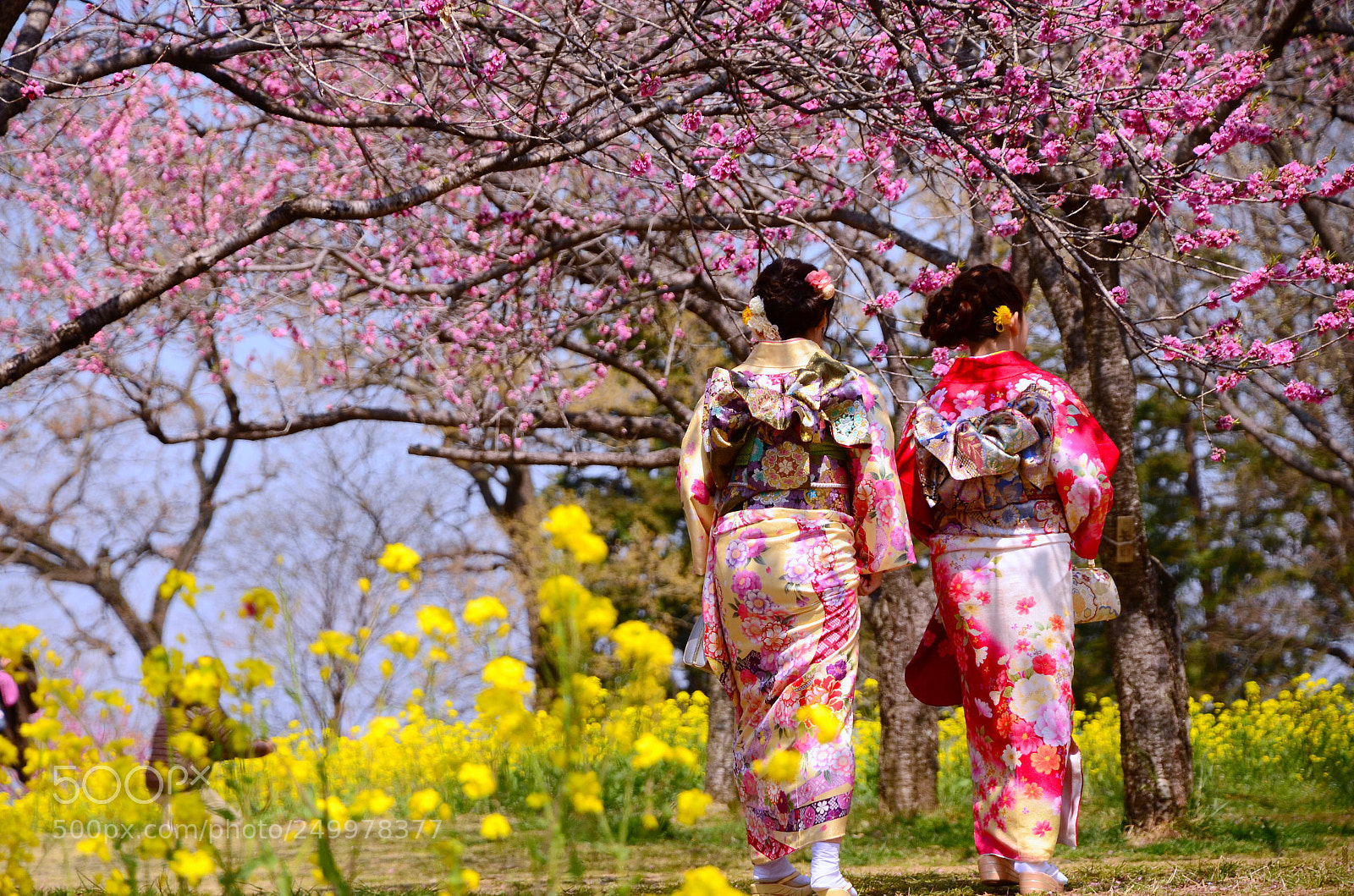 Nikon D7000 sample photo. Spring photography