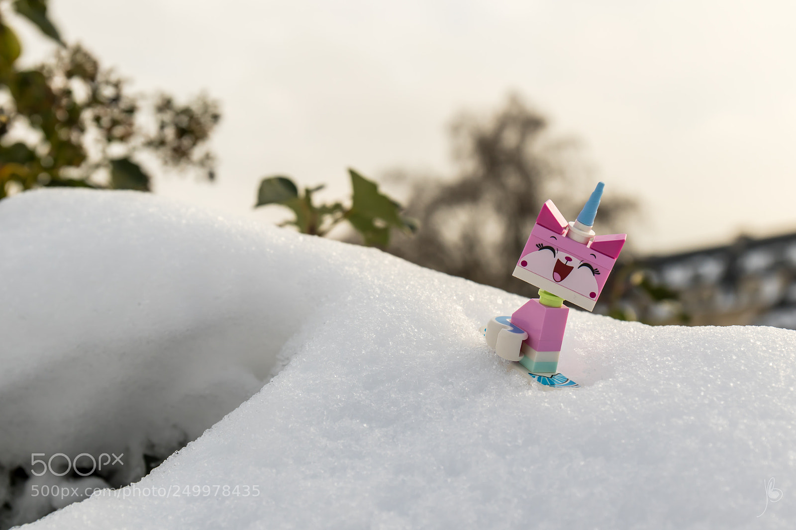 Canon EOS 7D Mark II sample photo. Happy to see snow photography