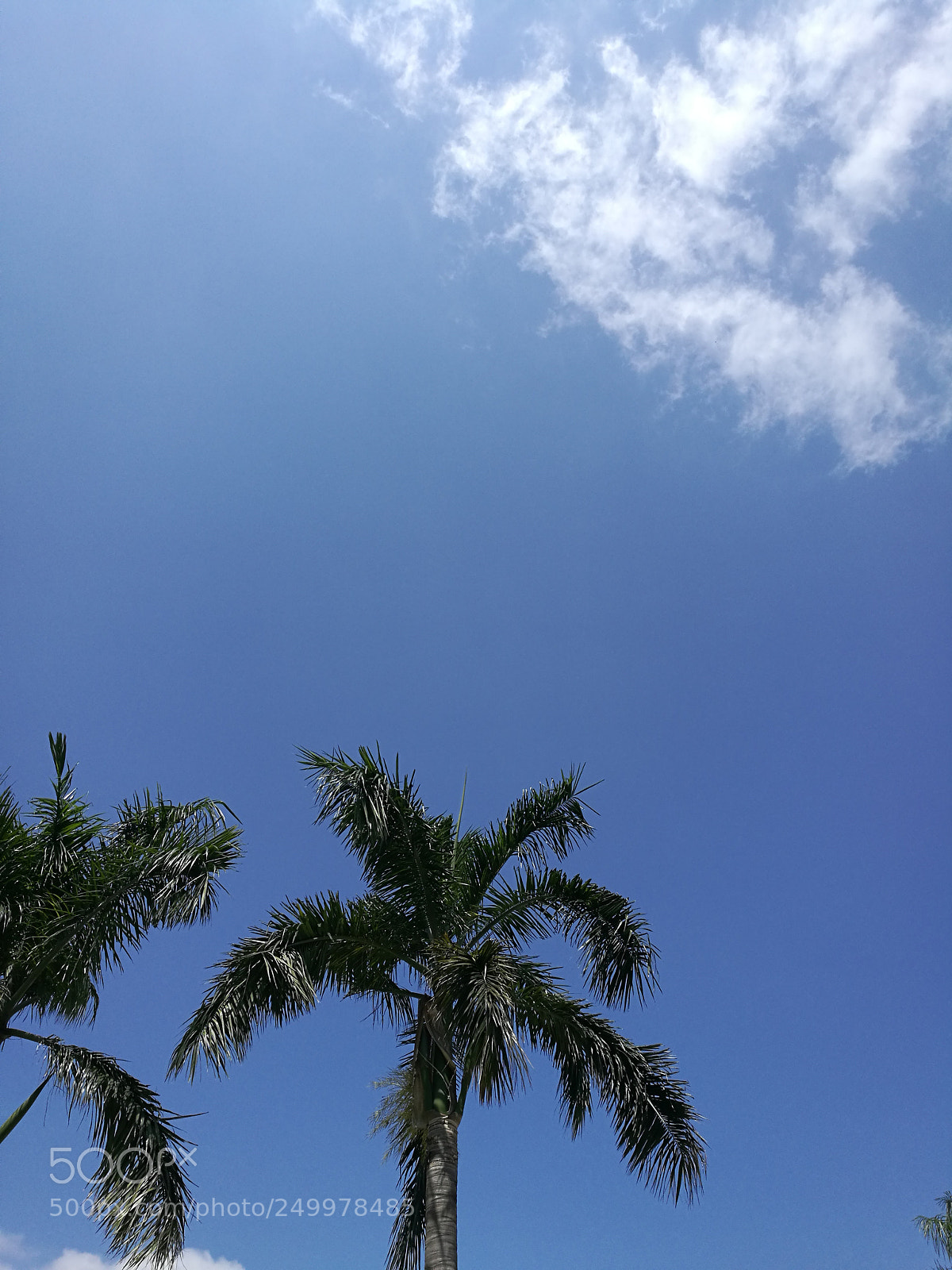 HUAWEI P9 sample photo. Blue sky photography