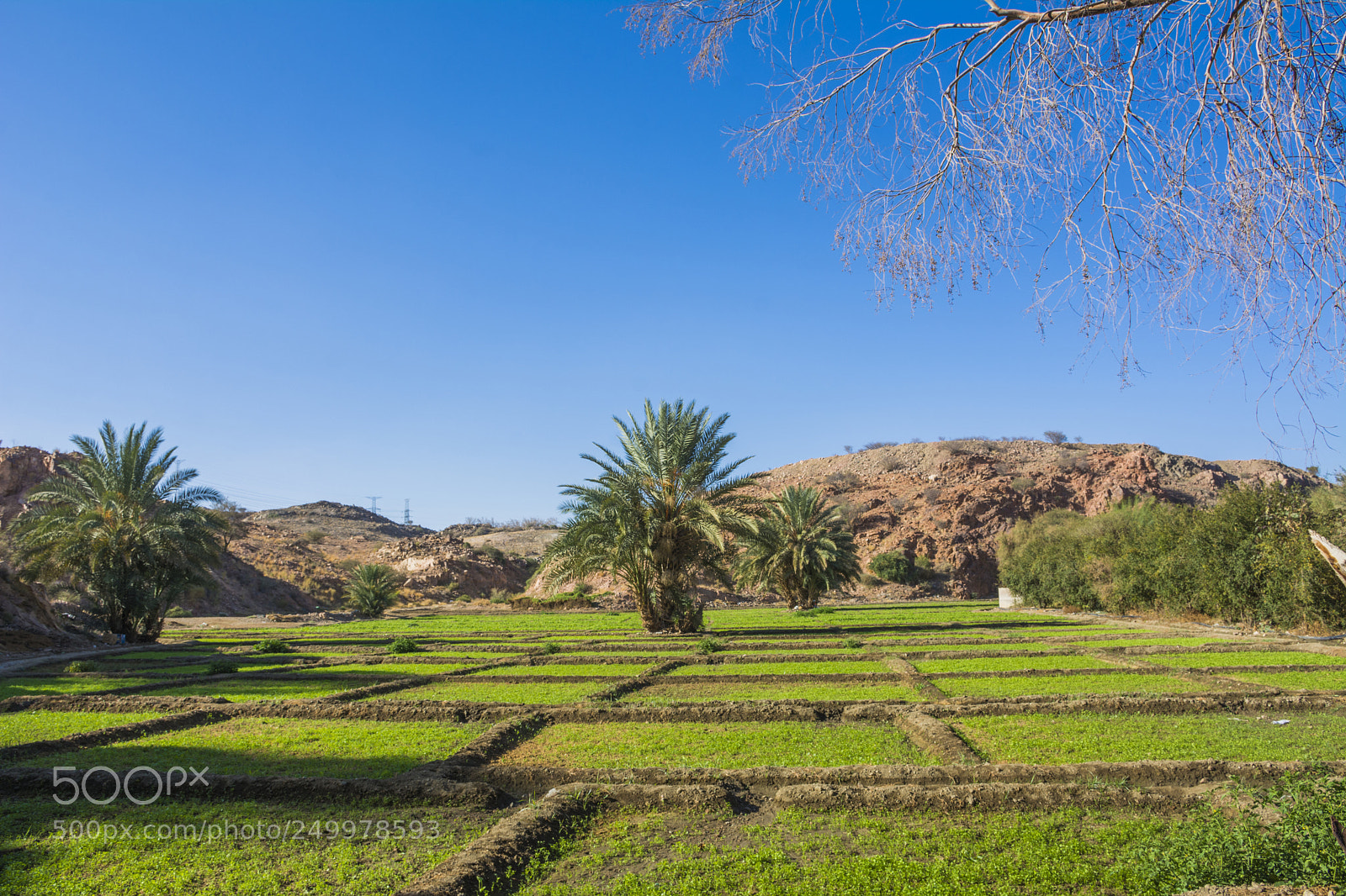 Nikon D7100 sample photo. Farmland photography