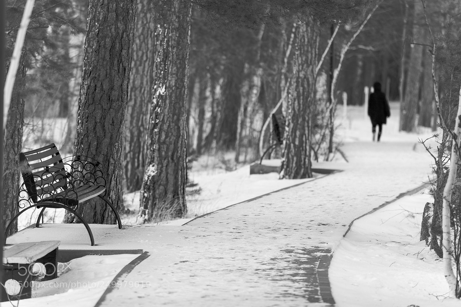 Nikon D610 sample photo. Untitled photography