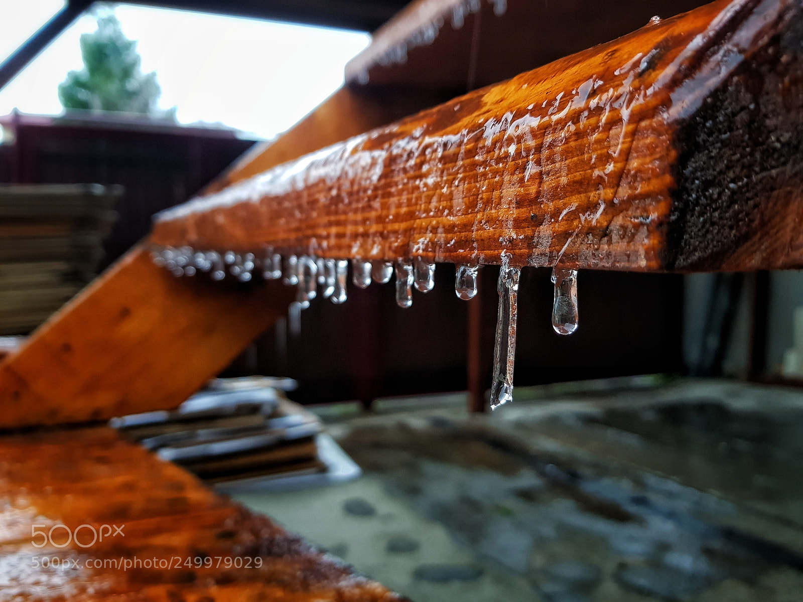 Samsung Galaxy S8+ sample photo. Frozen on march photography