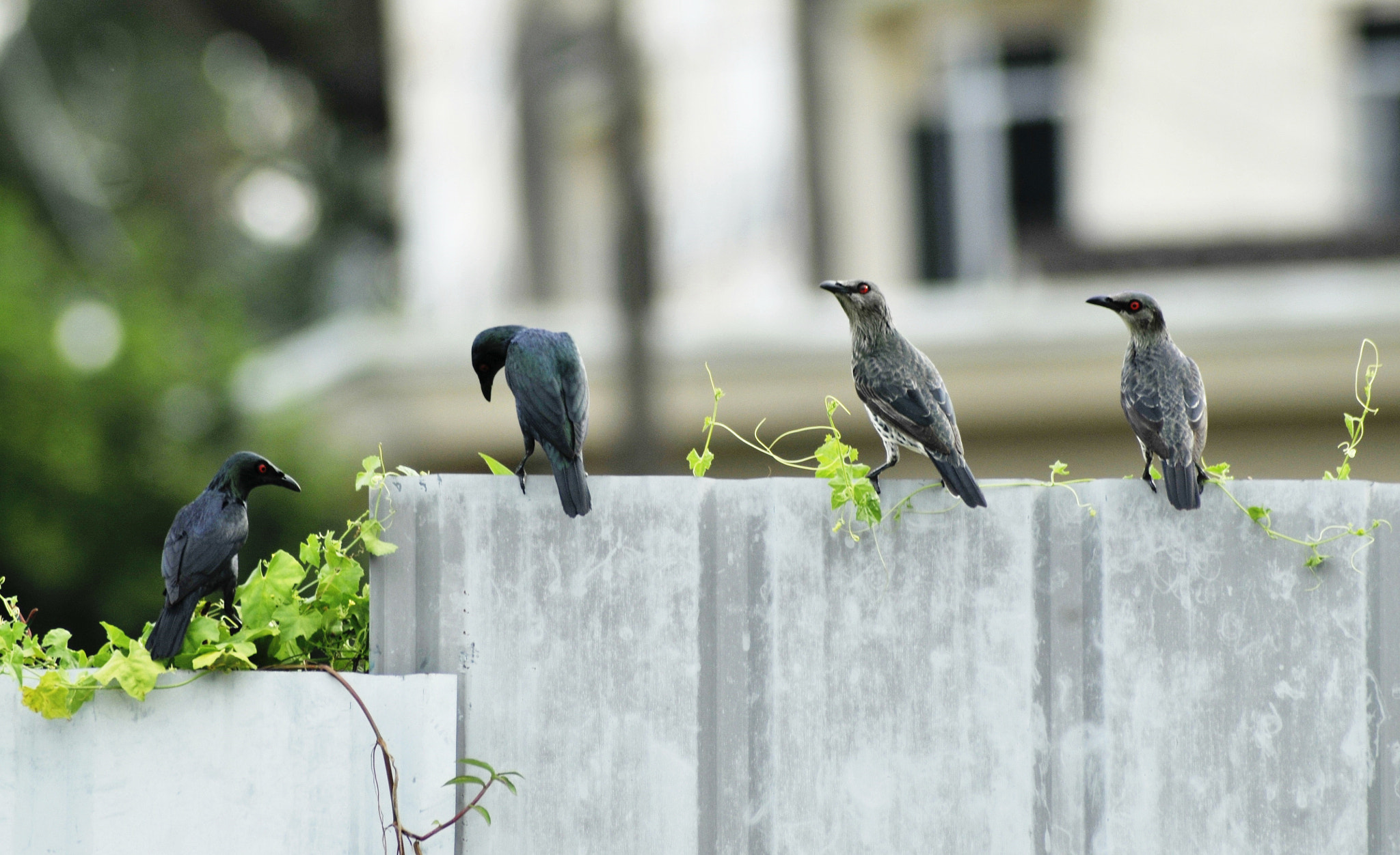 Nikon AF Nikkor 70-300mm F4-5.6G sample photo. Moment is the precious.... photography