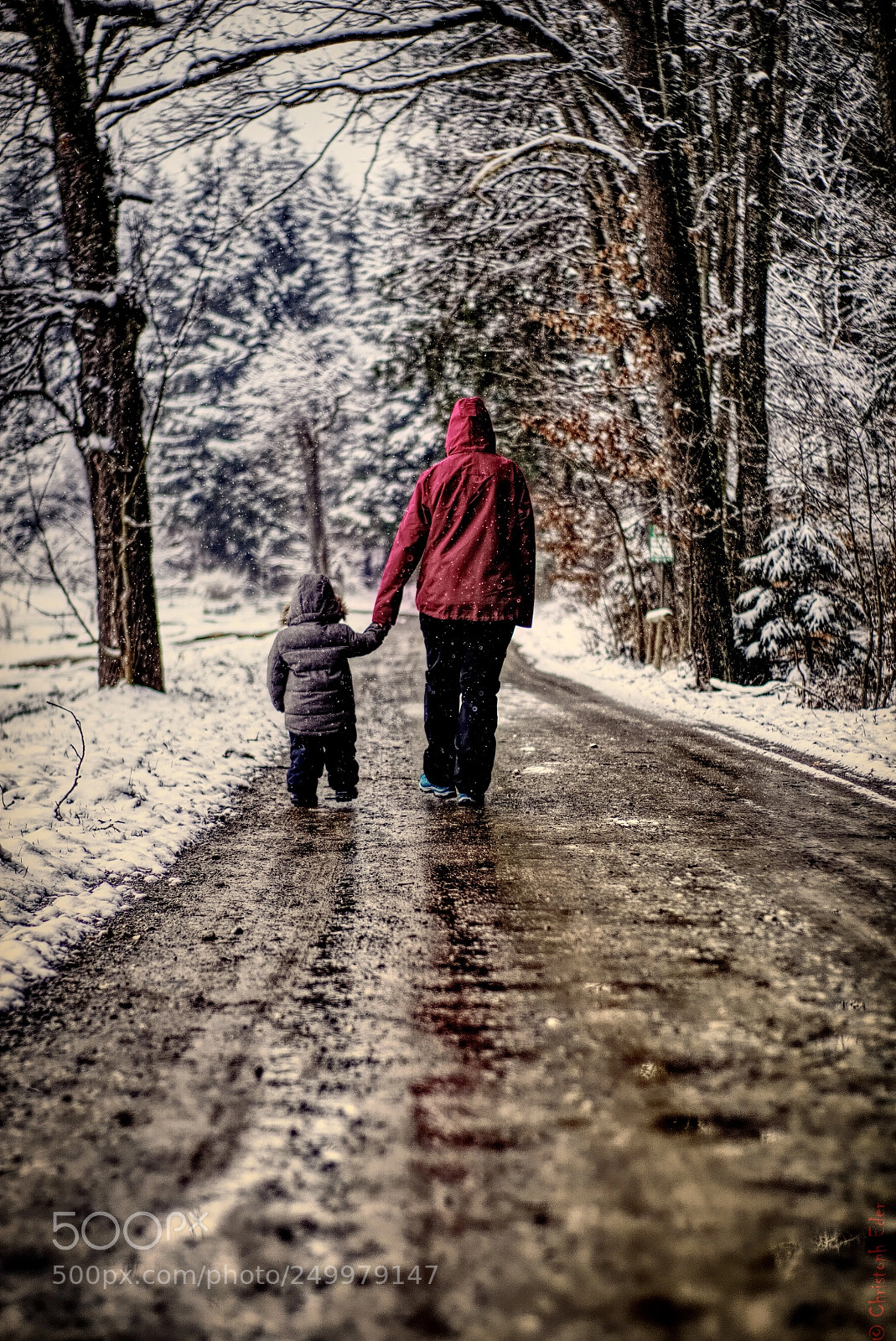 Sony a6000 sample photo. The walk photography