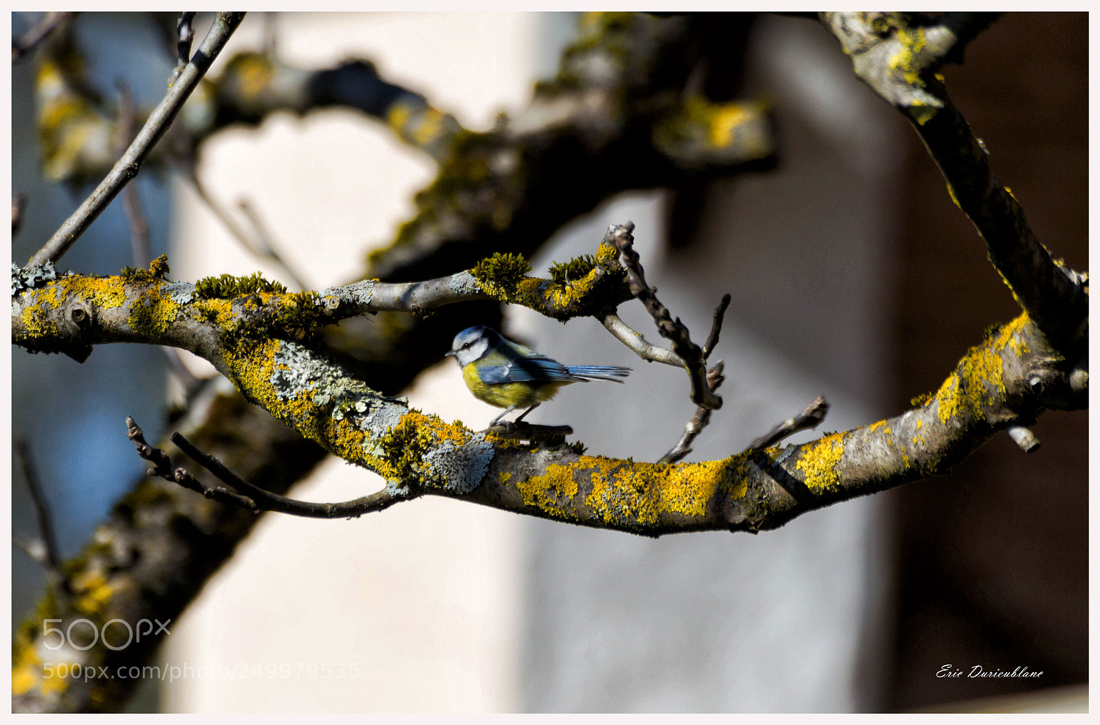 Canon EOS 700D (EOS Rebel T5i / EOS Kiss X7i) sample photo. Untitled photography