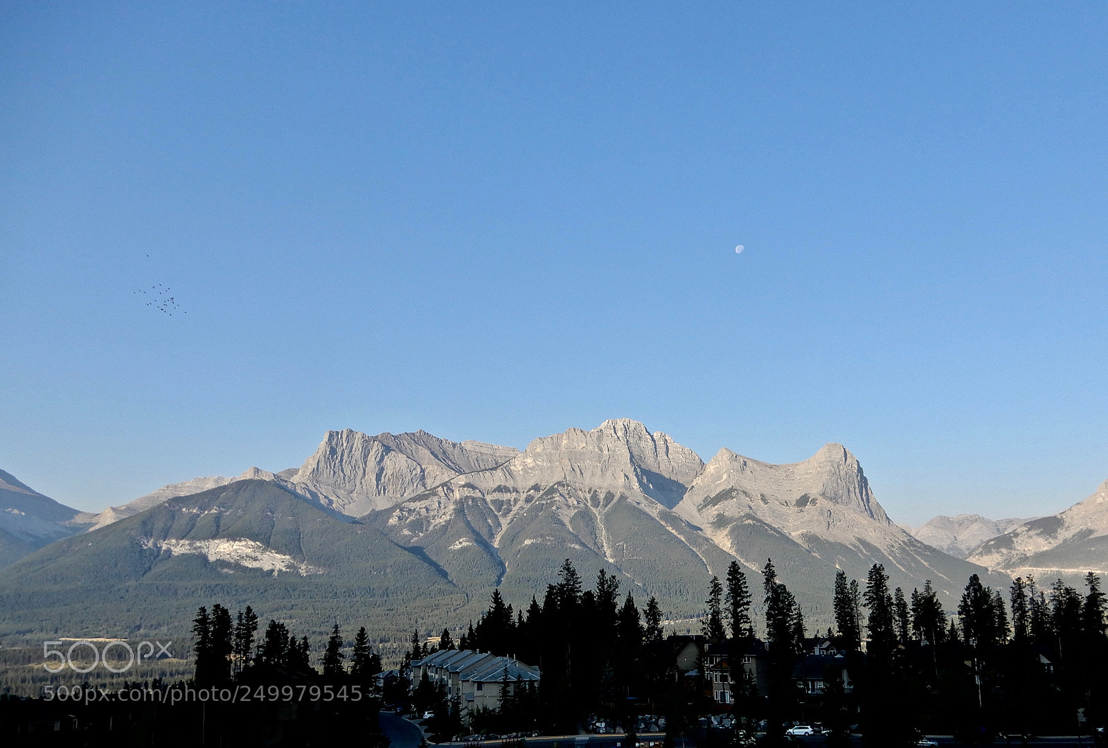 Nikon Coolpix A900 sample photo. Flying to the moon photography