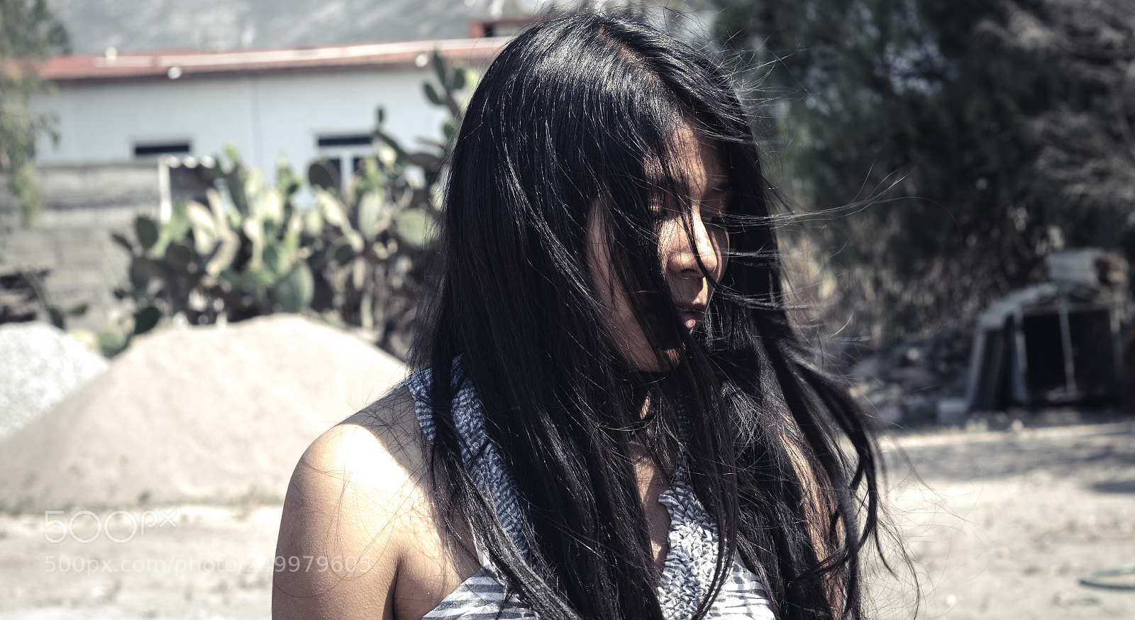 Canon EOS 80D sample photo. Vannya photography