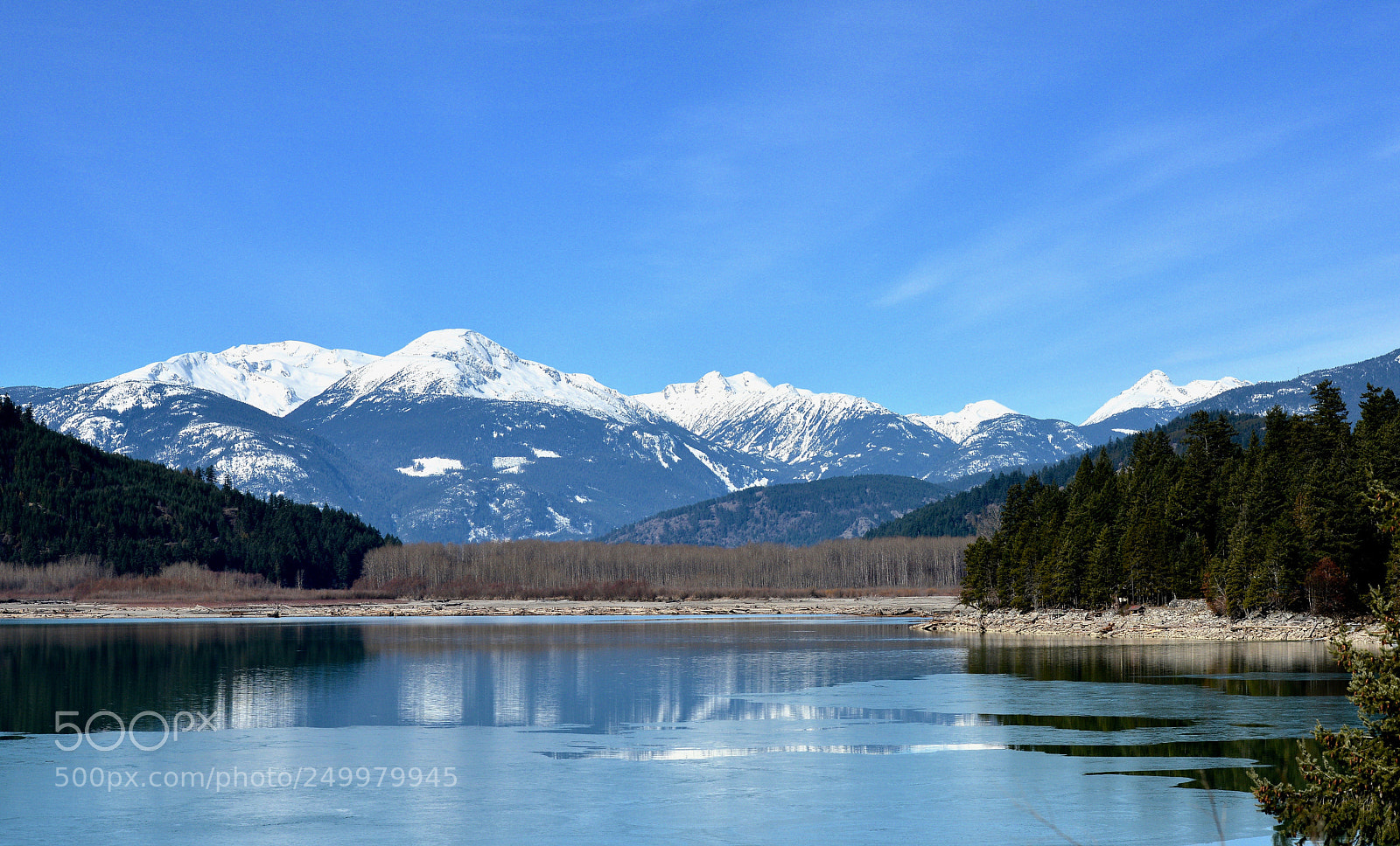 Nikon D800 sample photo. Untitled photography