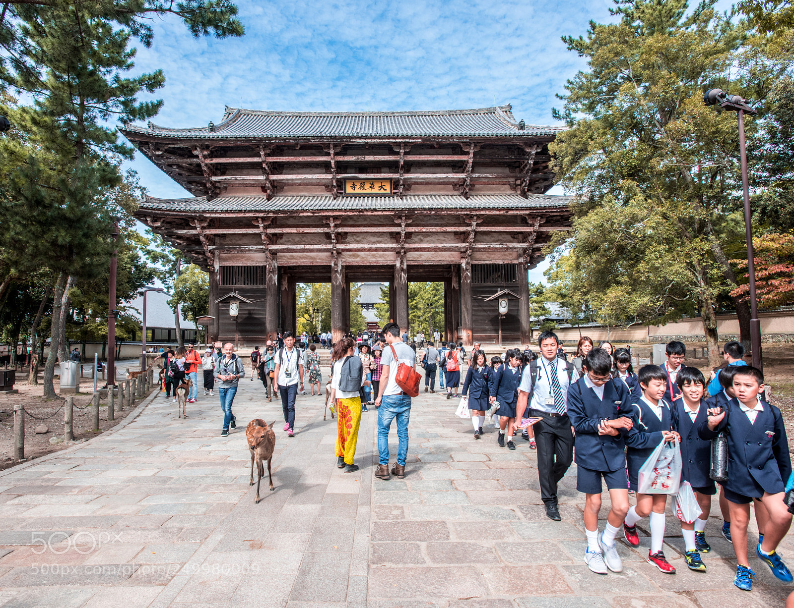 Nikon D810 sample photo. Nara’s temple photography