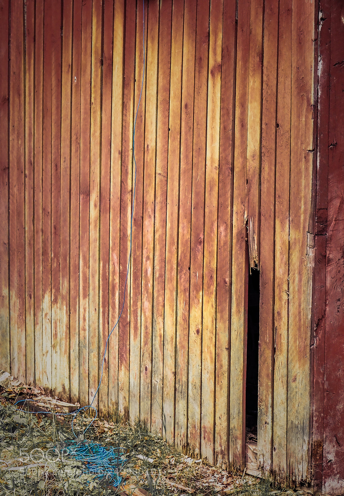 Olympus OM-D E-M1 Mark II sample photo. Natural saturation photography