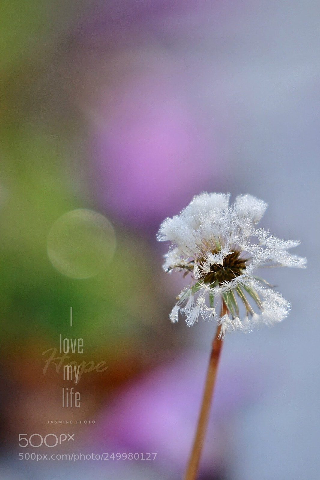 Nikon D500 sample photo. Img photography