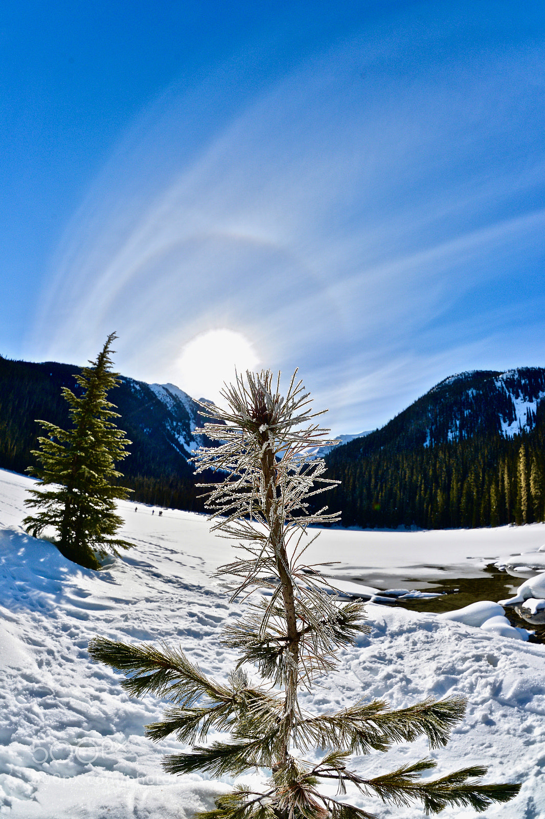 Nikon D800 sample photo. Untitled photography