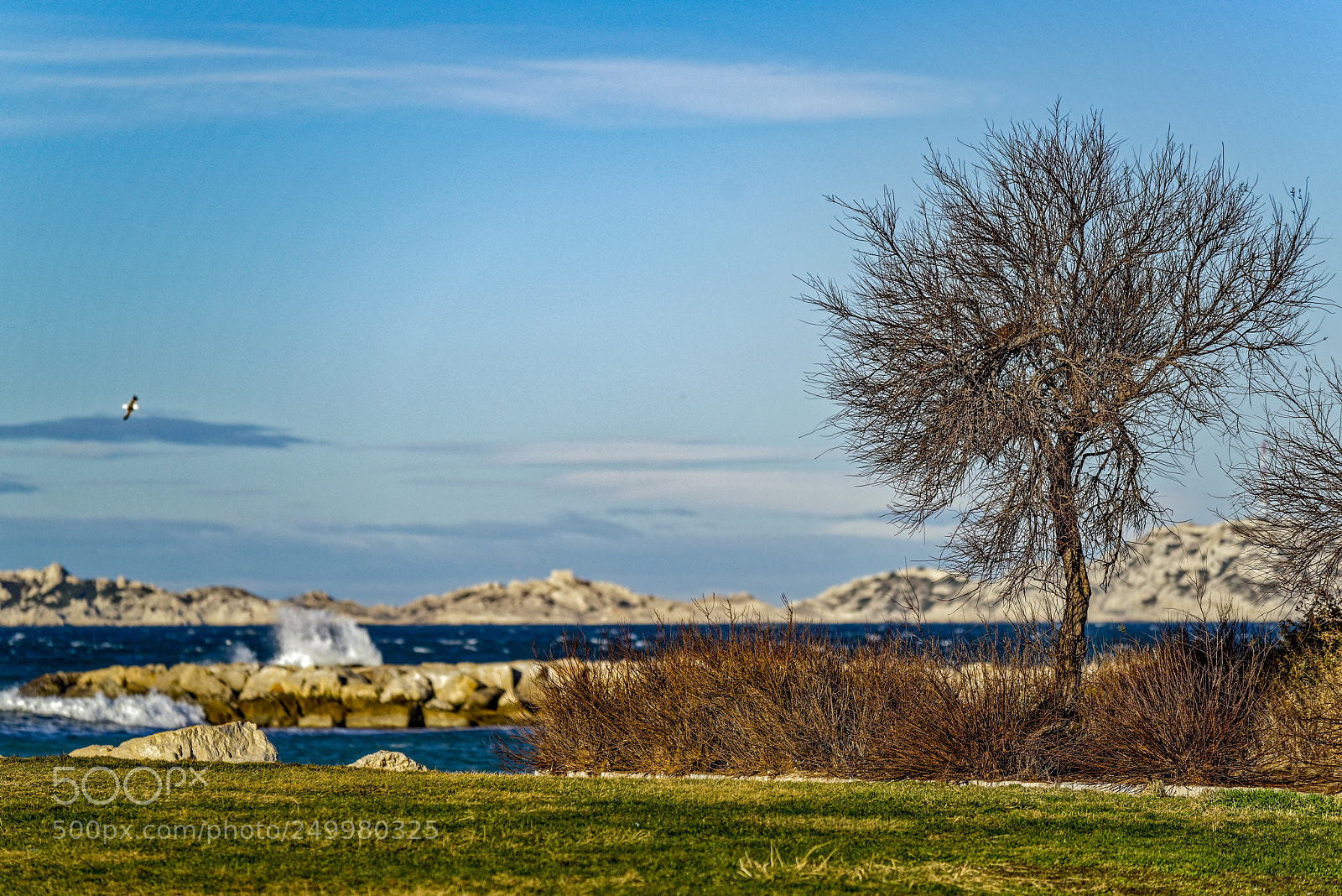 Nikon D800 sample photo. On the waterside photography