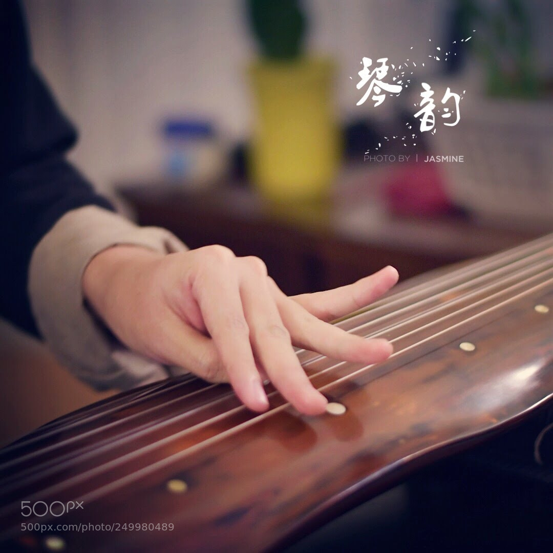 Nikon D500 sample photo. Dancing on the fingers photography
