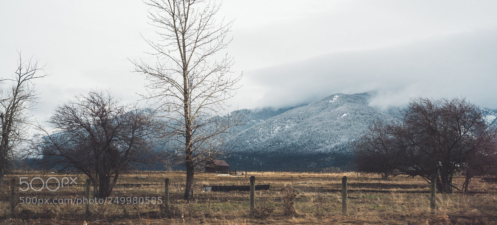 Sony a6500 sample photo. Winter's homestead photography