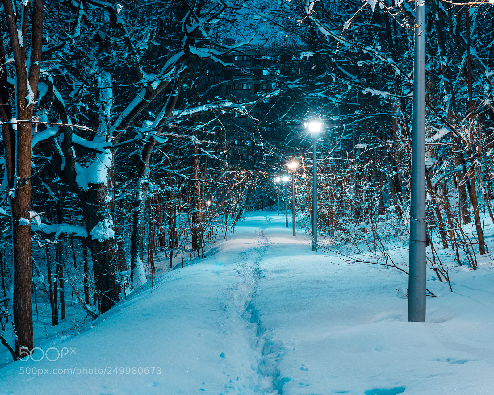Nikon D7200 sample photo. Campus photography