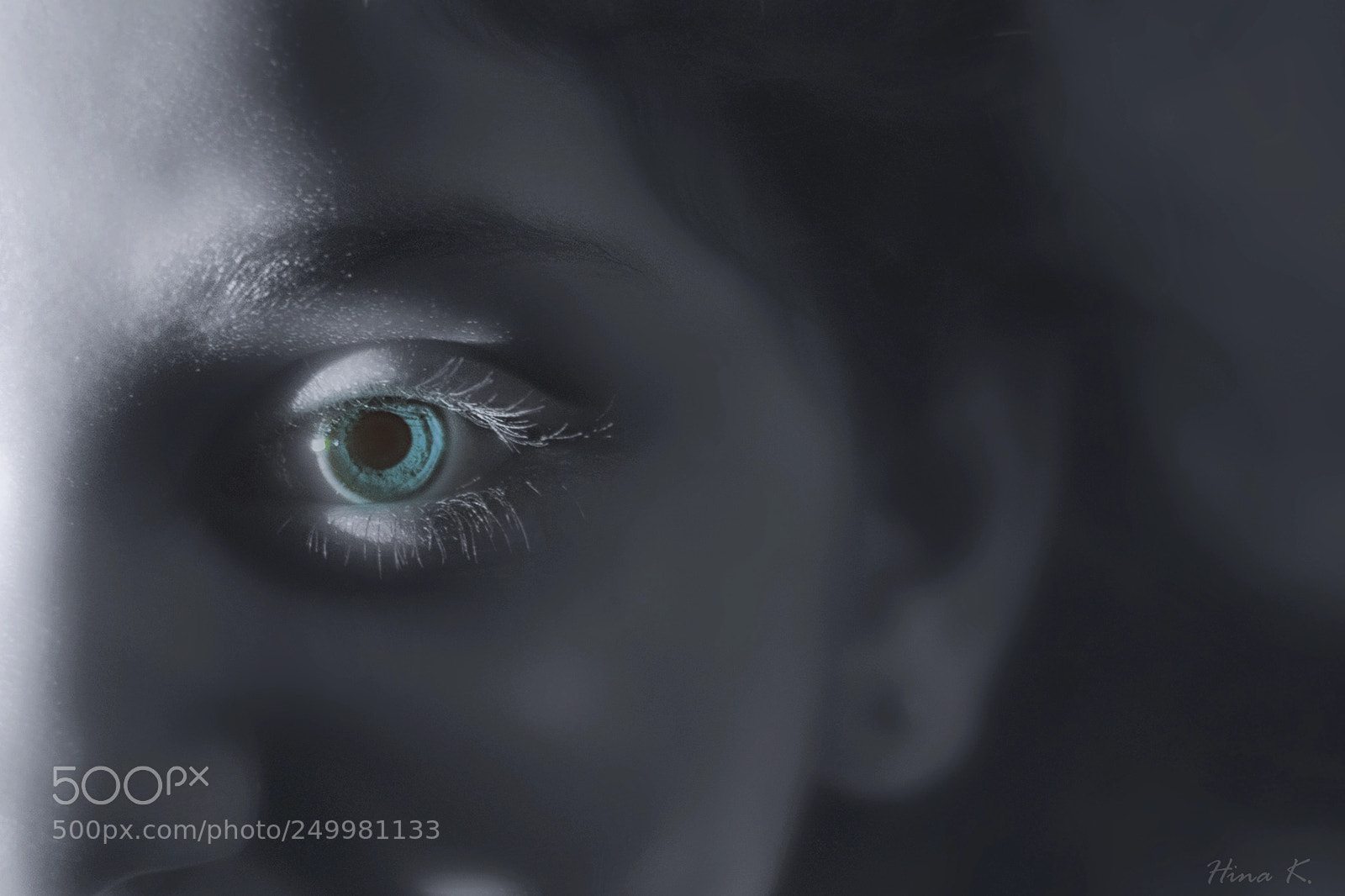 Nikon D500 sample photo. Deep blue dreams photography