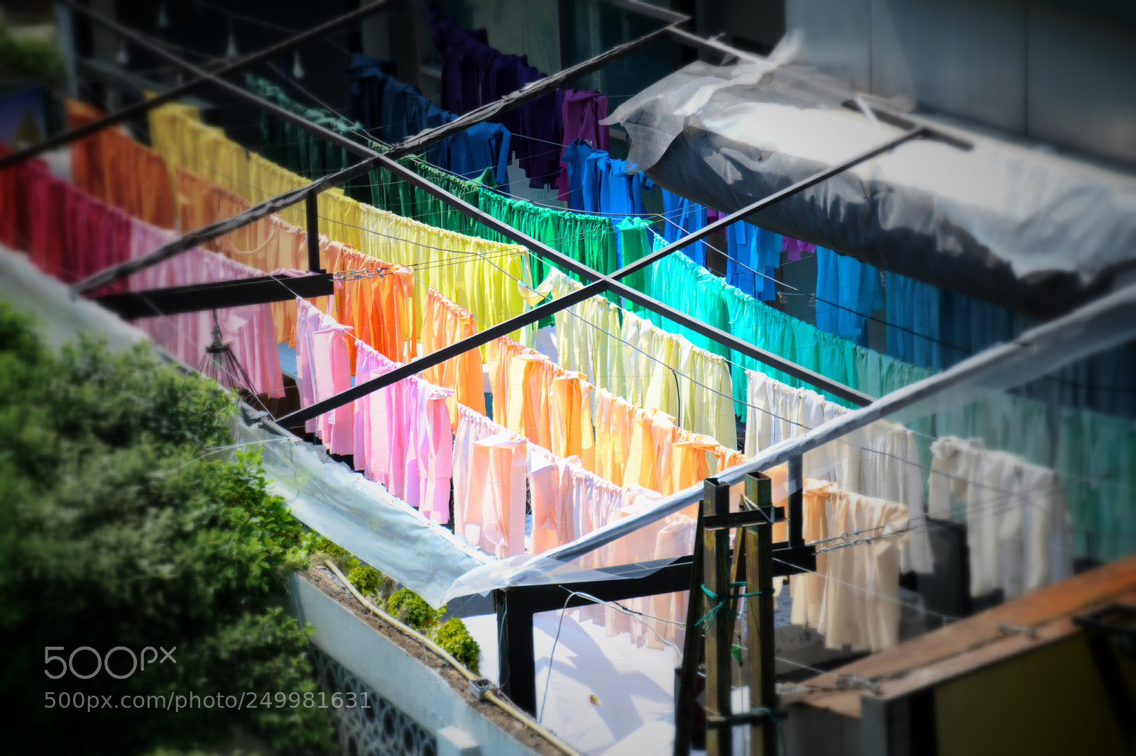Nikon D5300 sample photo. Untitled photography
