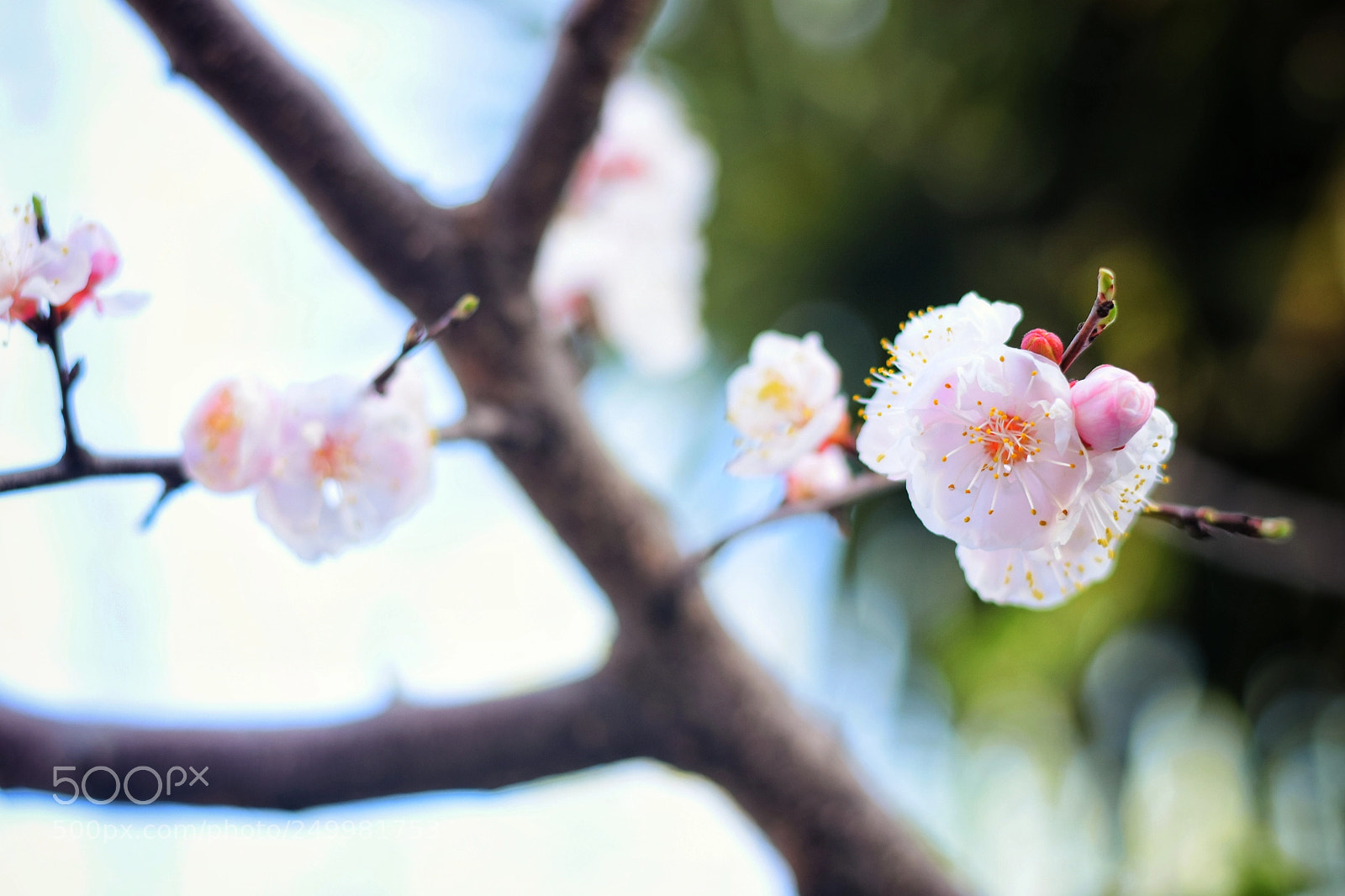 Nikon D5300 sample photo. Untitled photography