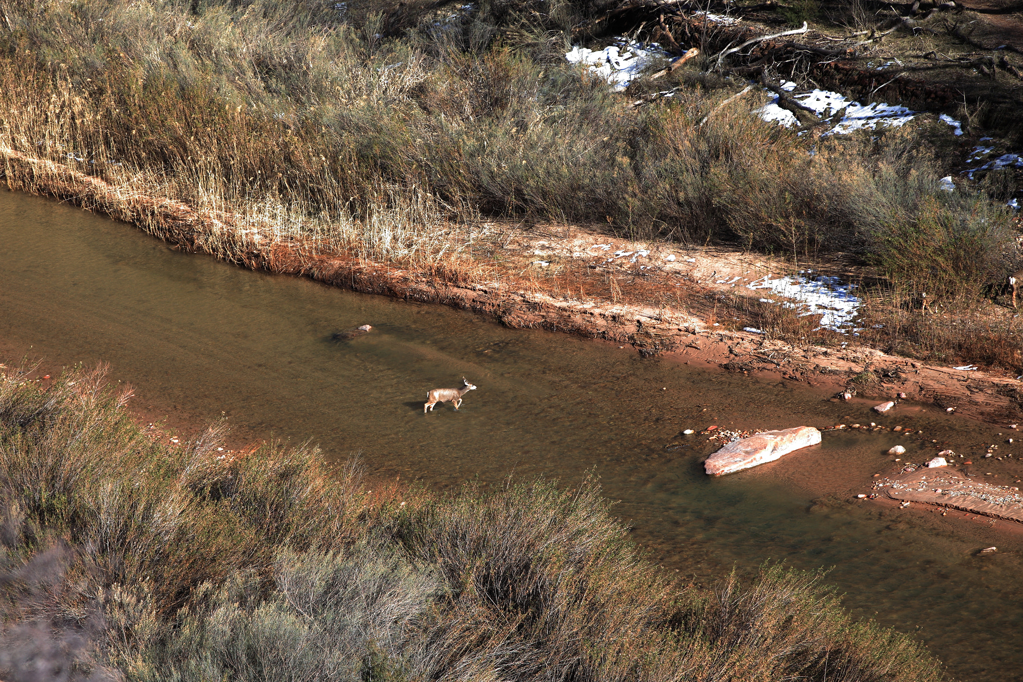 Canon EF 70-200mm F2.8L IS II USM sample photo. Crossing creek in zion national park photography