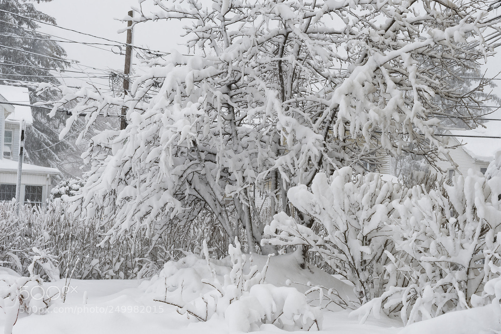 Nikon D500 sample photo. Never ending snow photography