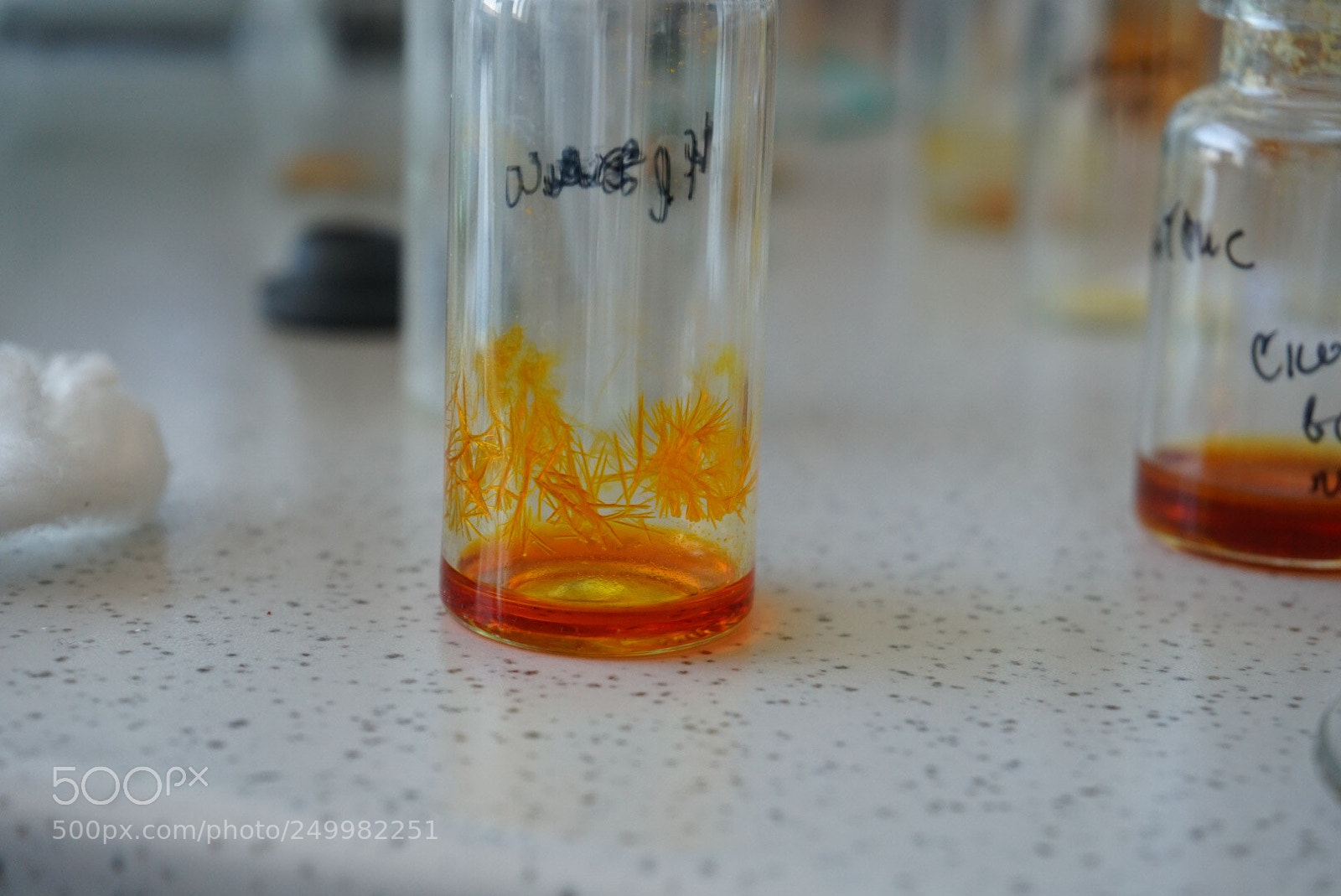 Sony Alpha a5000 (ILCE 5000) sample photo. Untitled photography