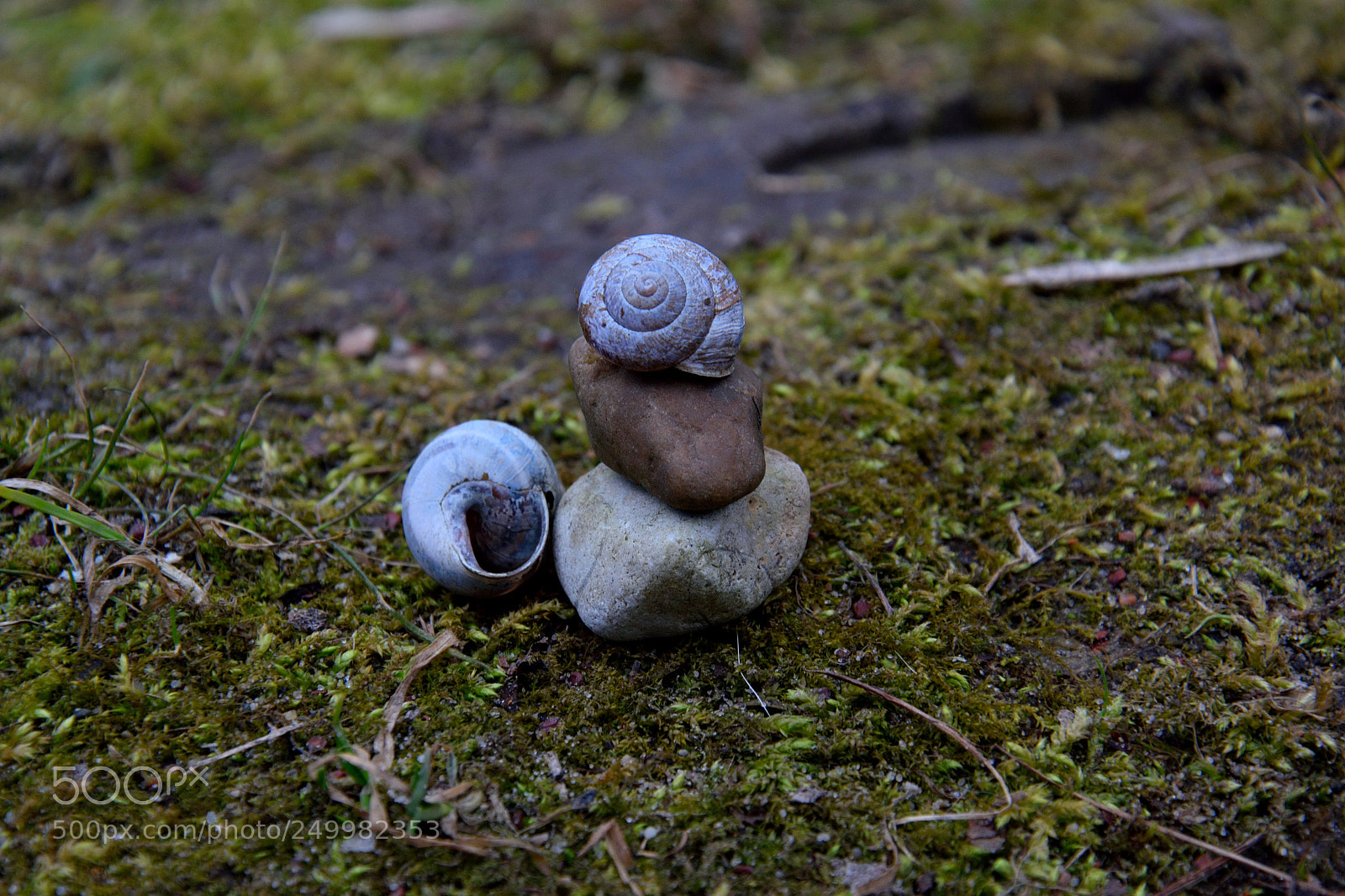 Nikon D3300 sample photo. Abstract photography
