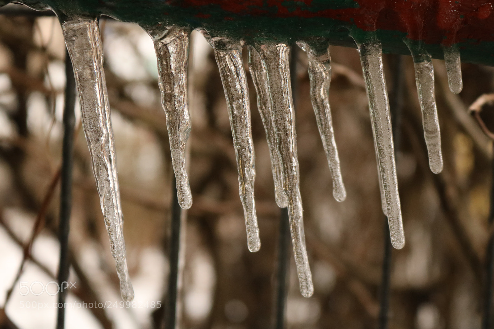 Canon EOS 750D (EOS Rebel T6i / EOS Kiss X8i) sample photo. Icicles photography